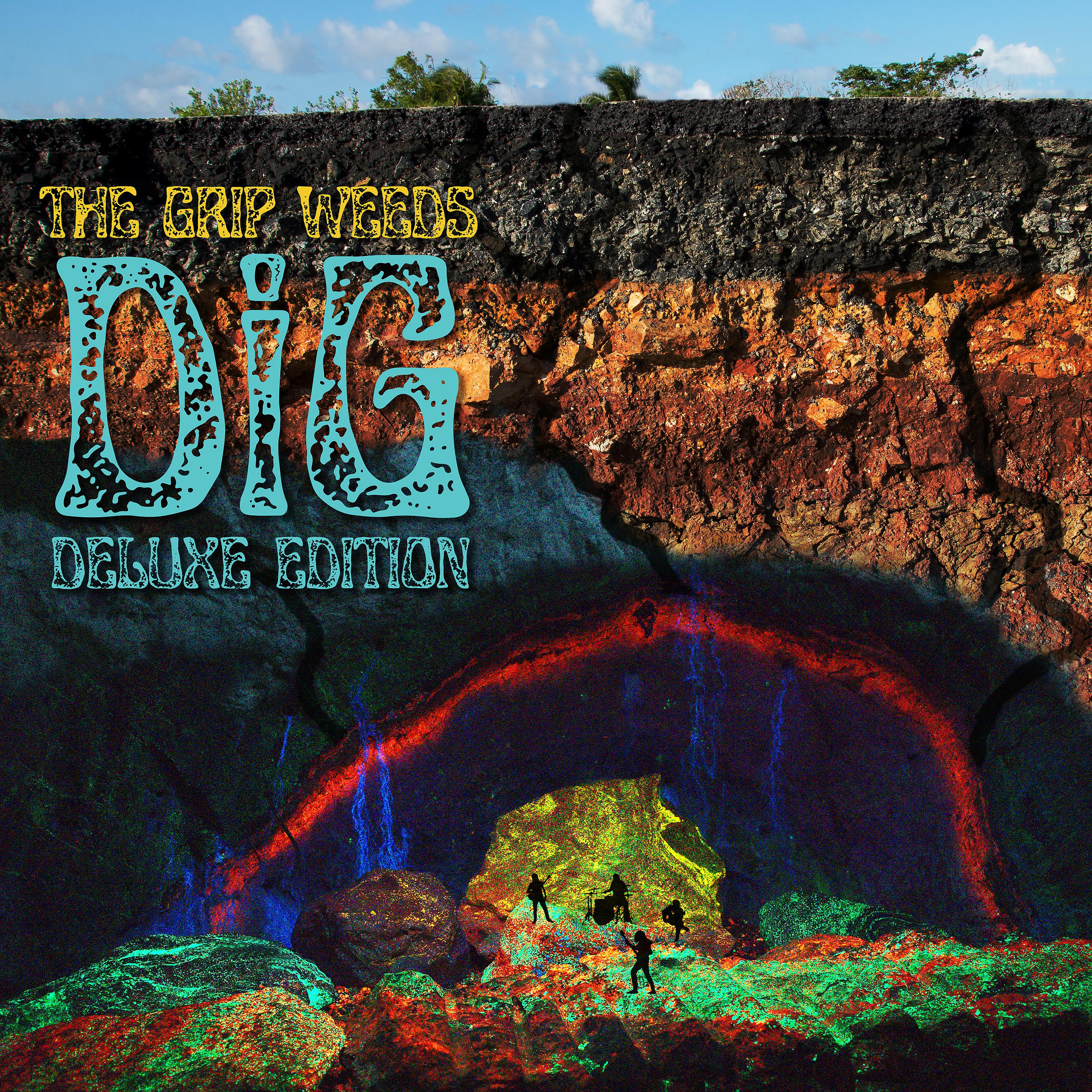 Постер альбома DiG (Deluxe Edition)