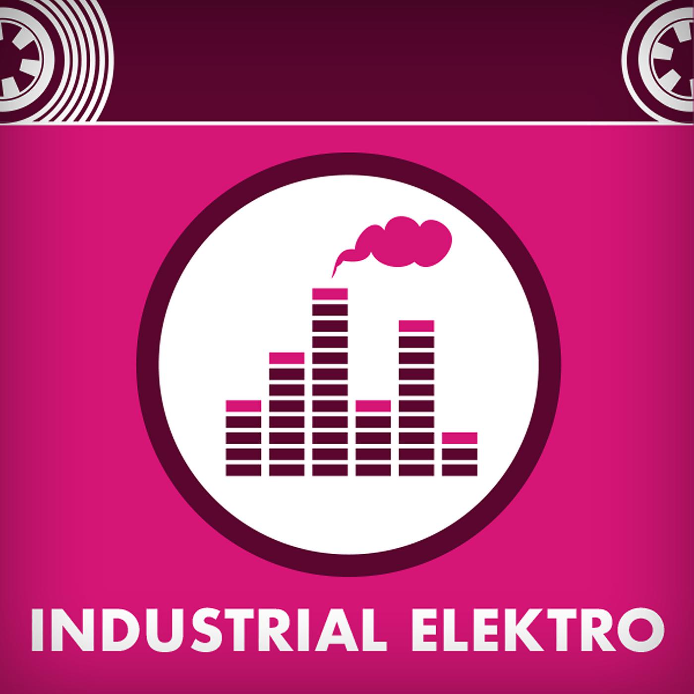 Постер альбома Industrial Elektro