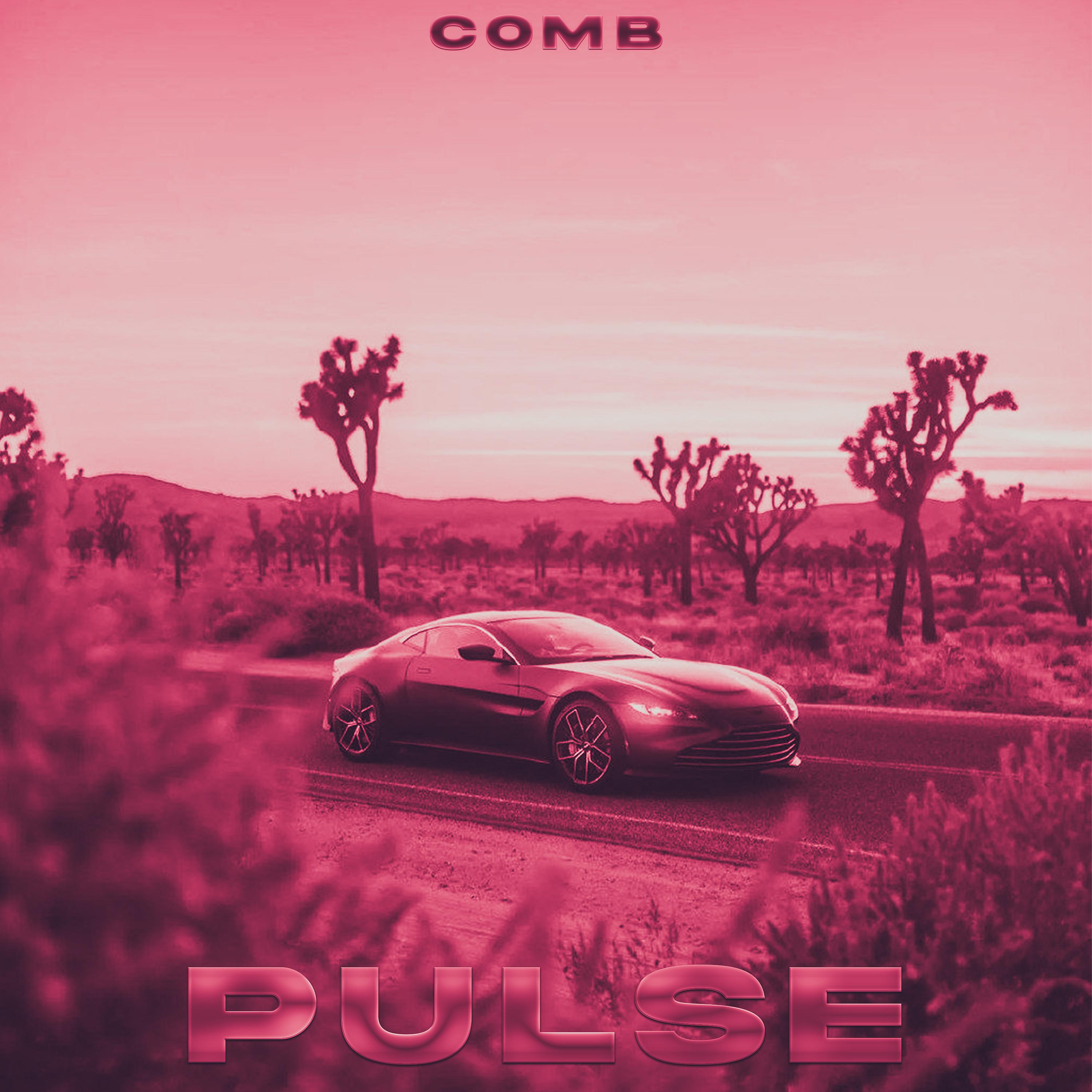 Постер альбома PULSE