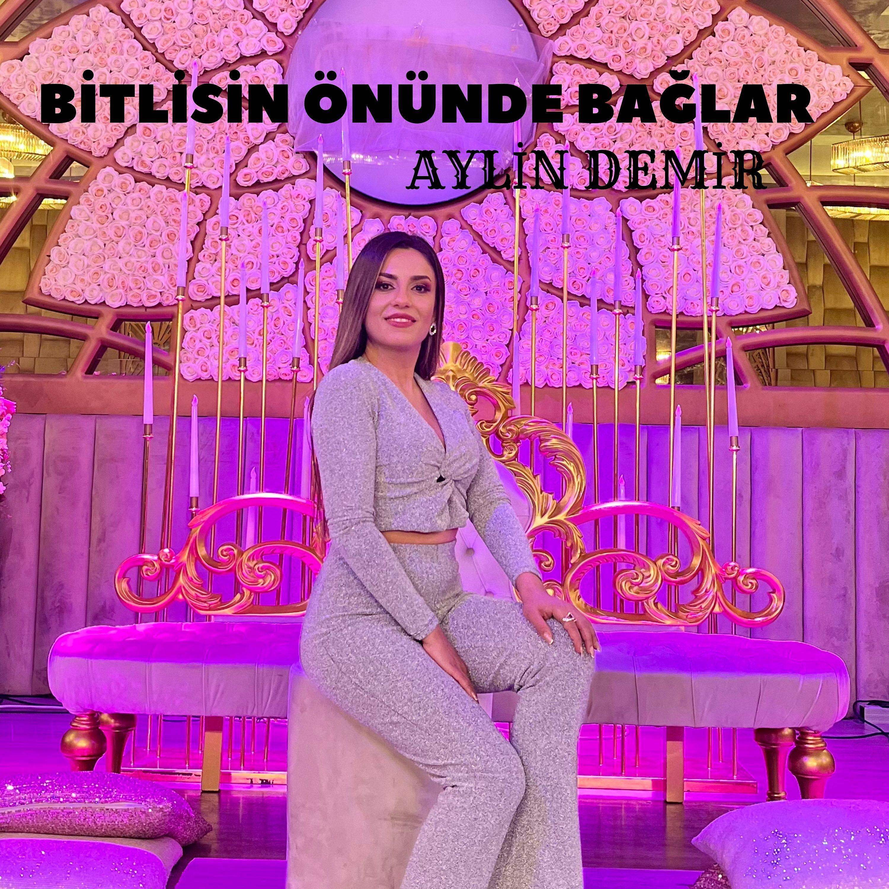 Постер альбома Bitlisin Önünde Bağlar
