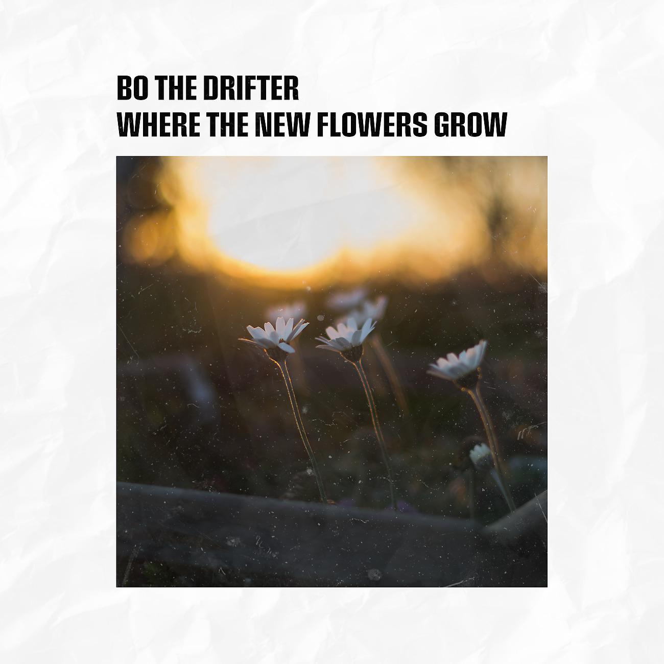 Постер альбома Where The New Flowers Grow