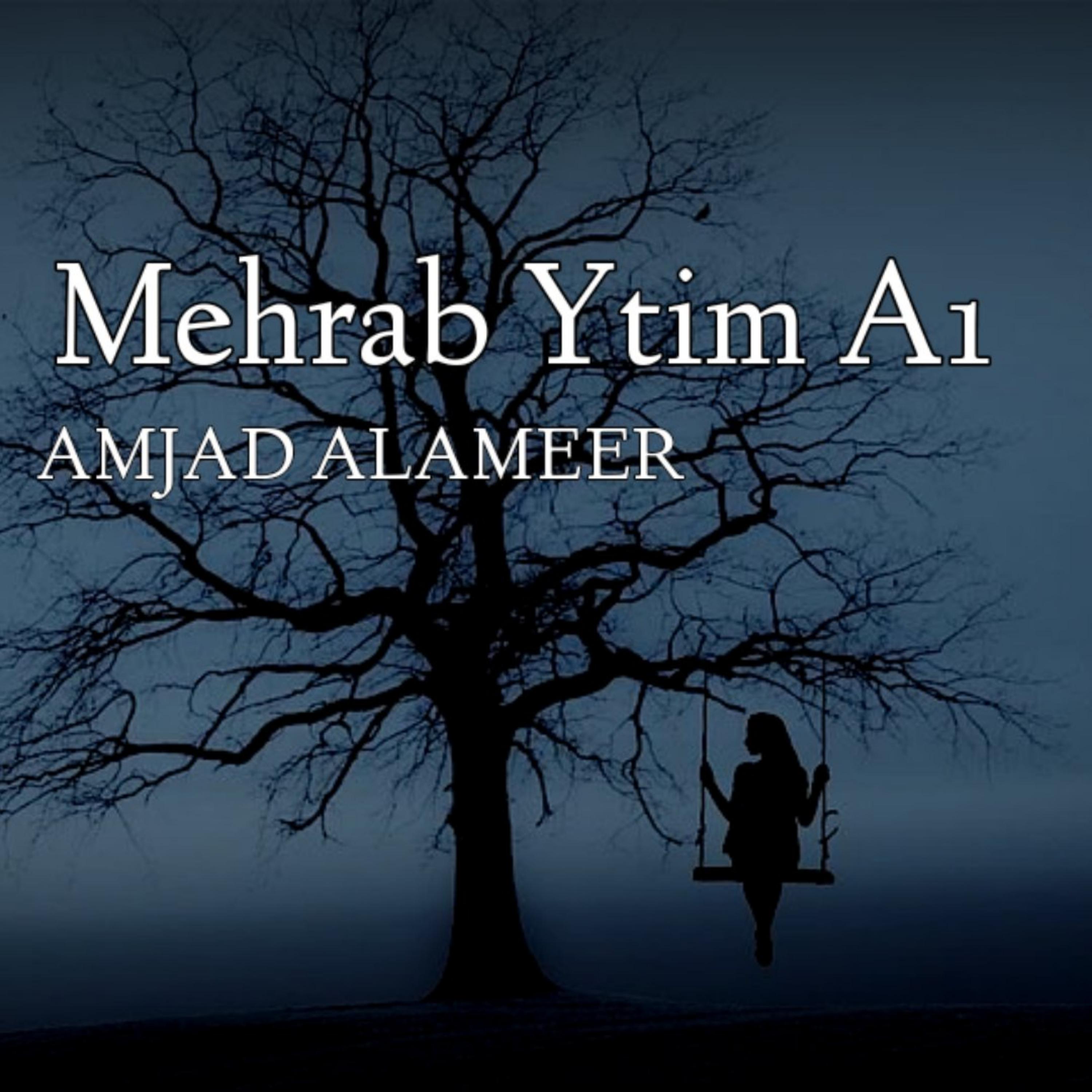 Постер альбома Mehrab Ytim A1
