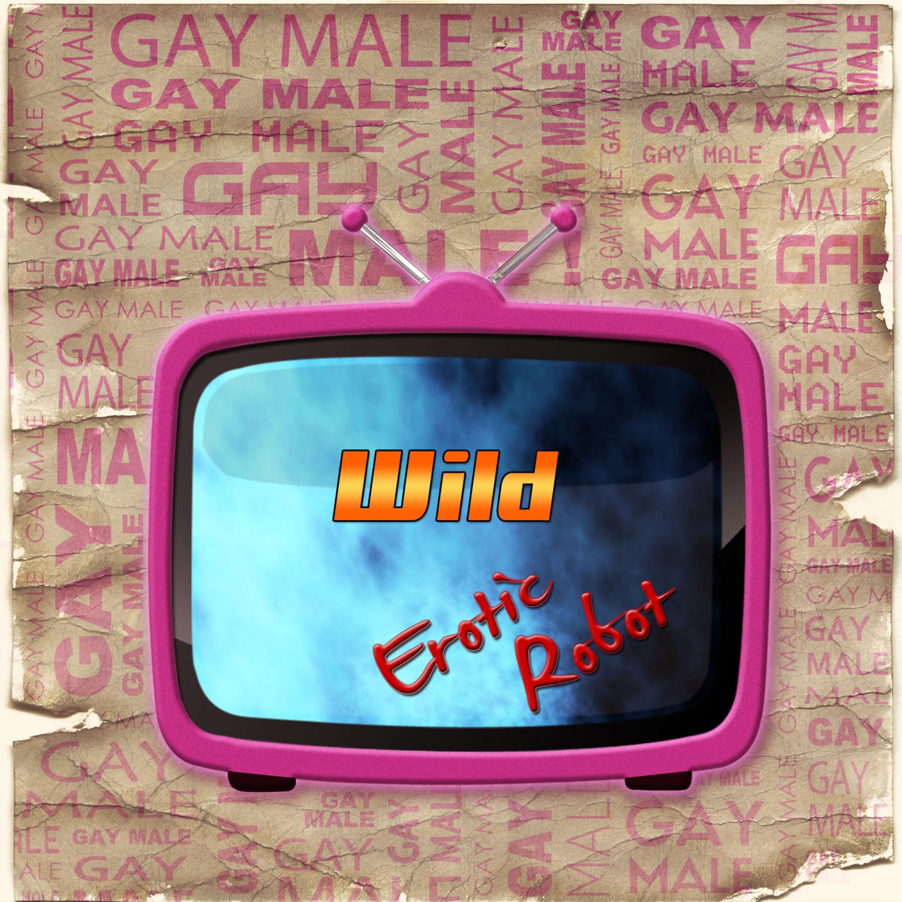 Постер альбома Gay Male Wild