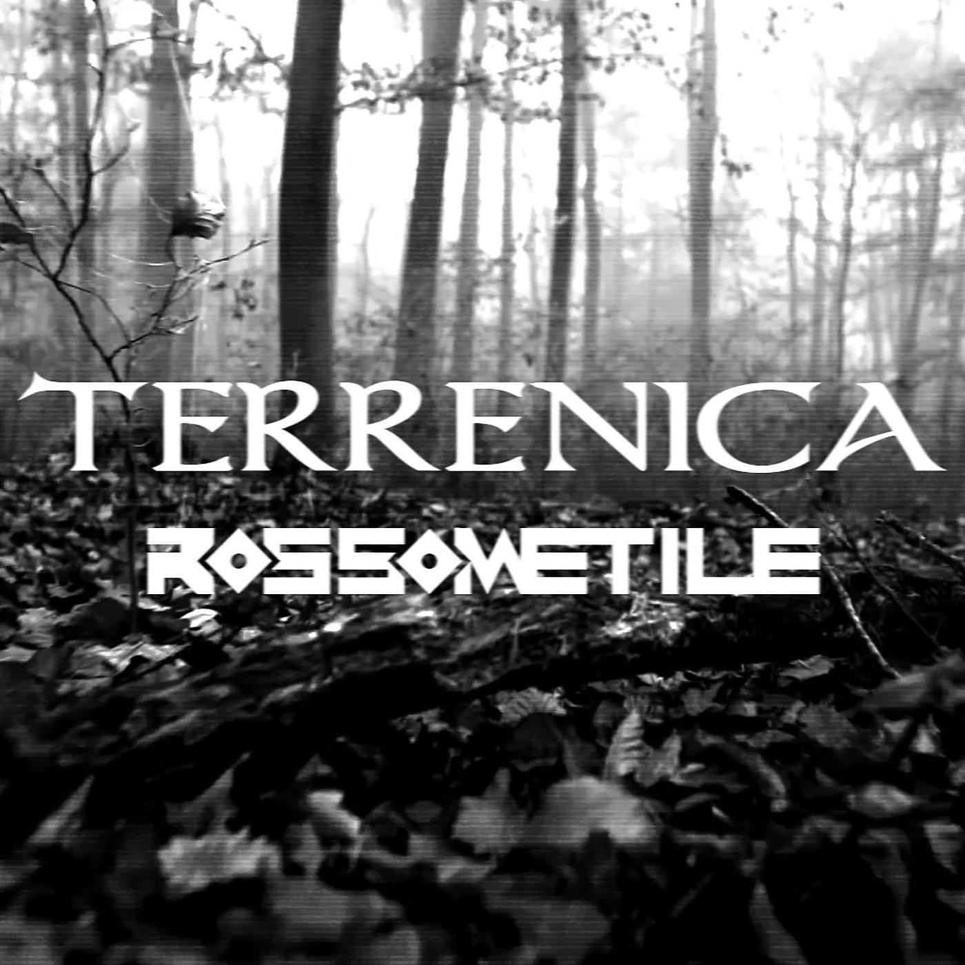 Постер альбома Terrenica