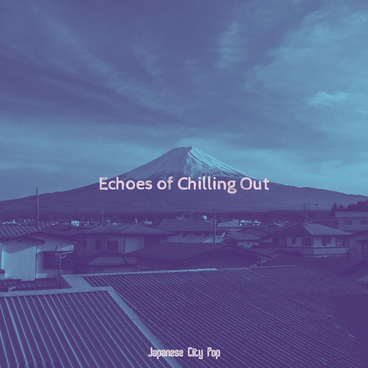Постер альбома Echoes of Chilling Out