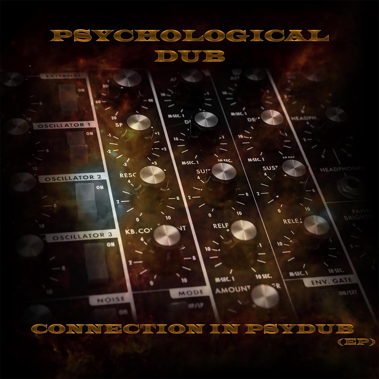 Постер альбома Connection in Psydub
