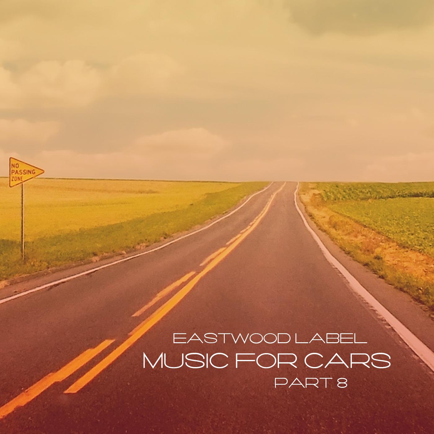Постер альбома Music for Cars, Vol. 8
