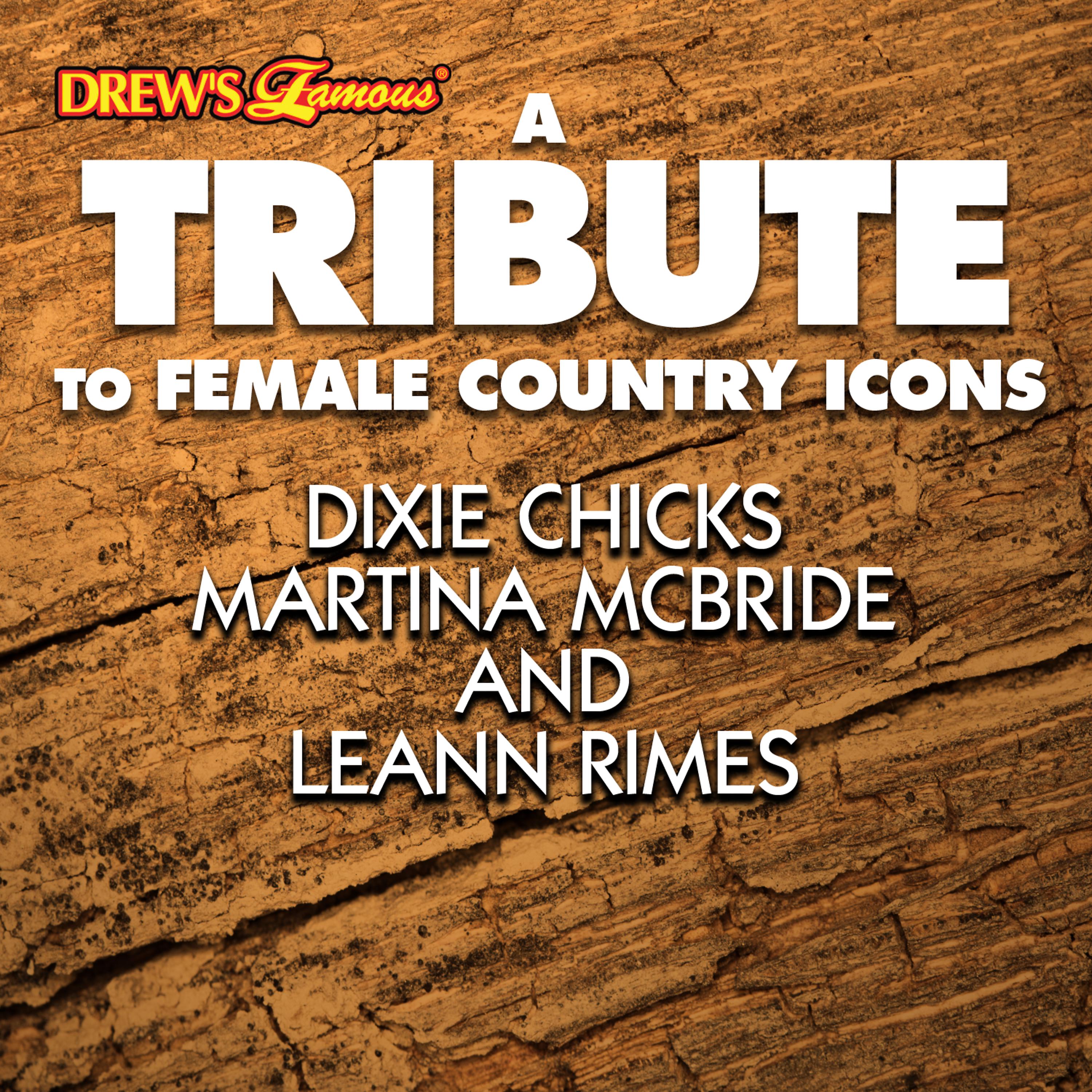 Постер альбома A Tribute to Female Country Icons Dixie Chicks, Martina Mcbride and Leann Rimes