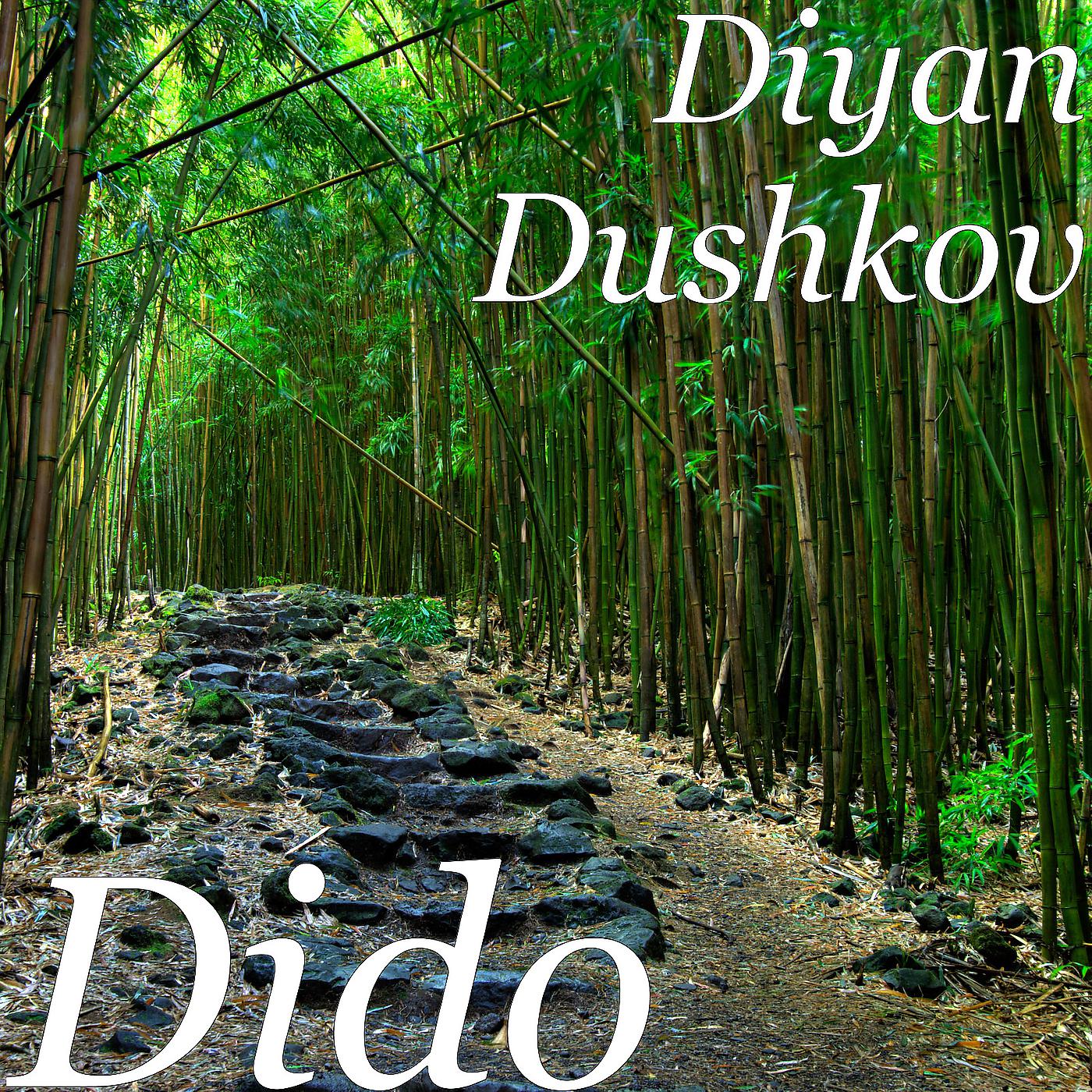 Постер альбома Dido