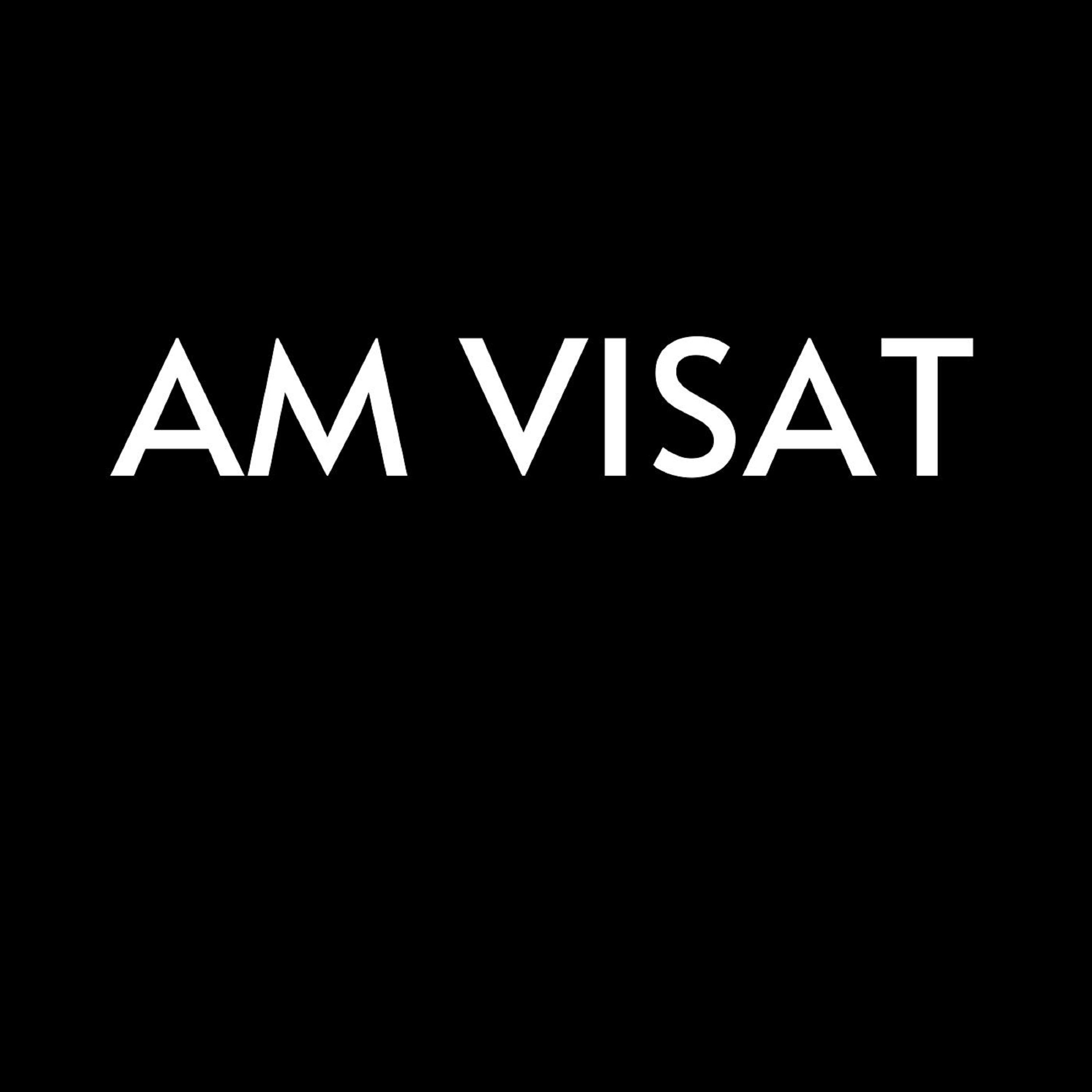 Постер альбома Am Visat