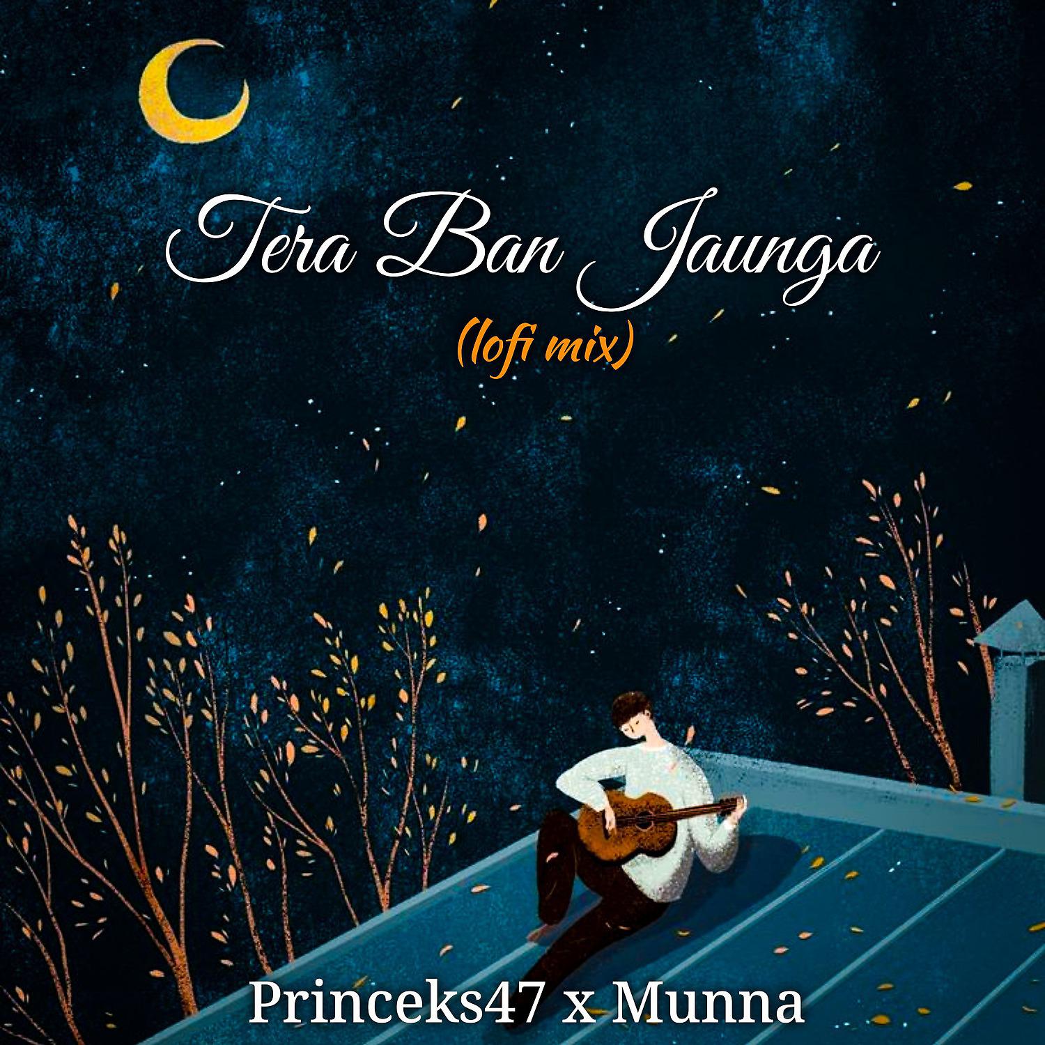 Постер альбома Tera Ban Jaunga (lofi mix)