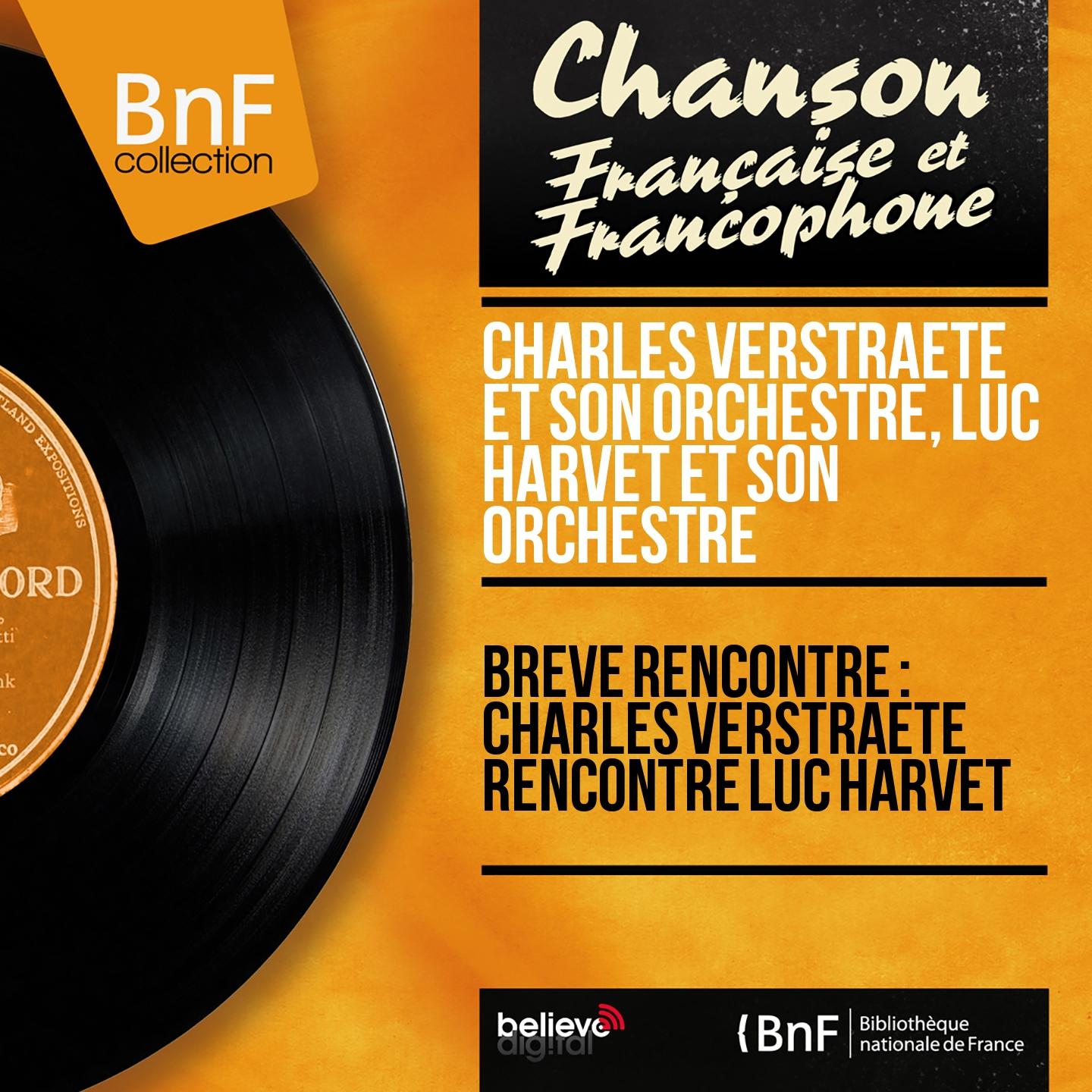 Постер альбома Brève rencontre : Charles Verstraete rencontre Luc Harvet (Mono Version)
