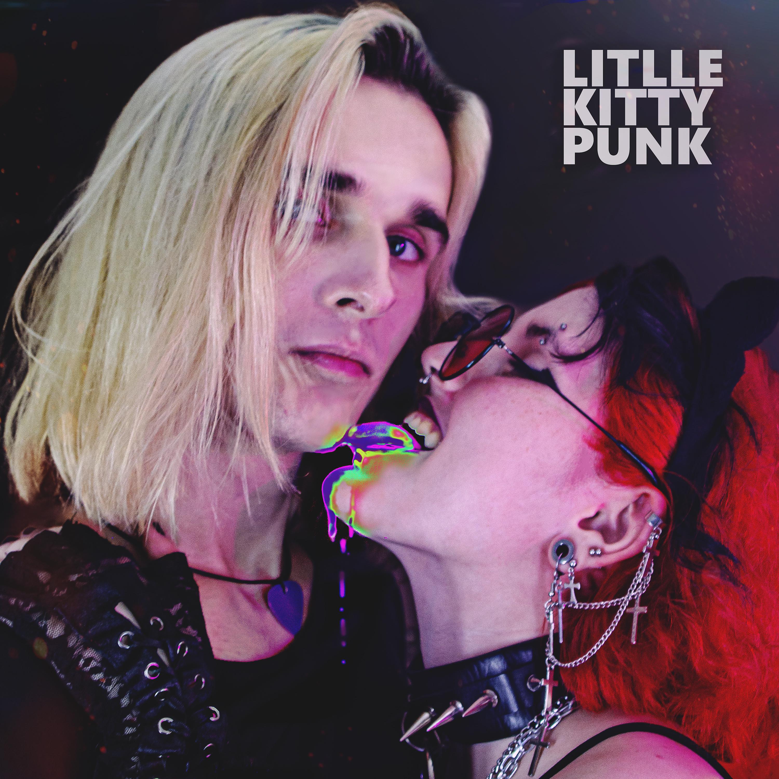 Постер альбома Litlle Kitty Punk