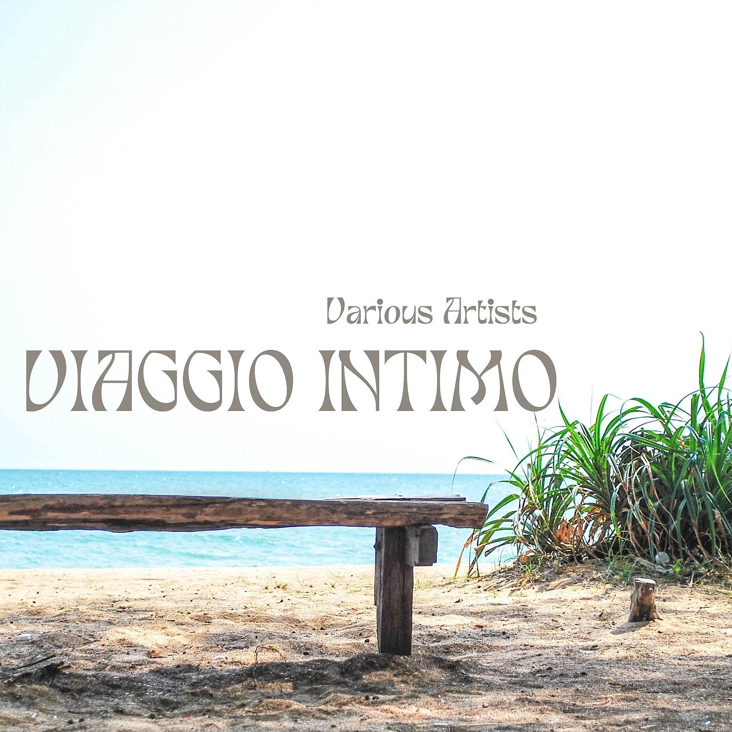 Постер альбома Viaggio intimo
