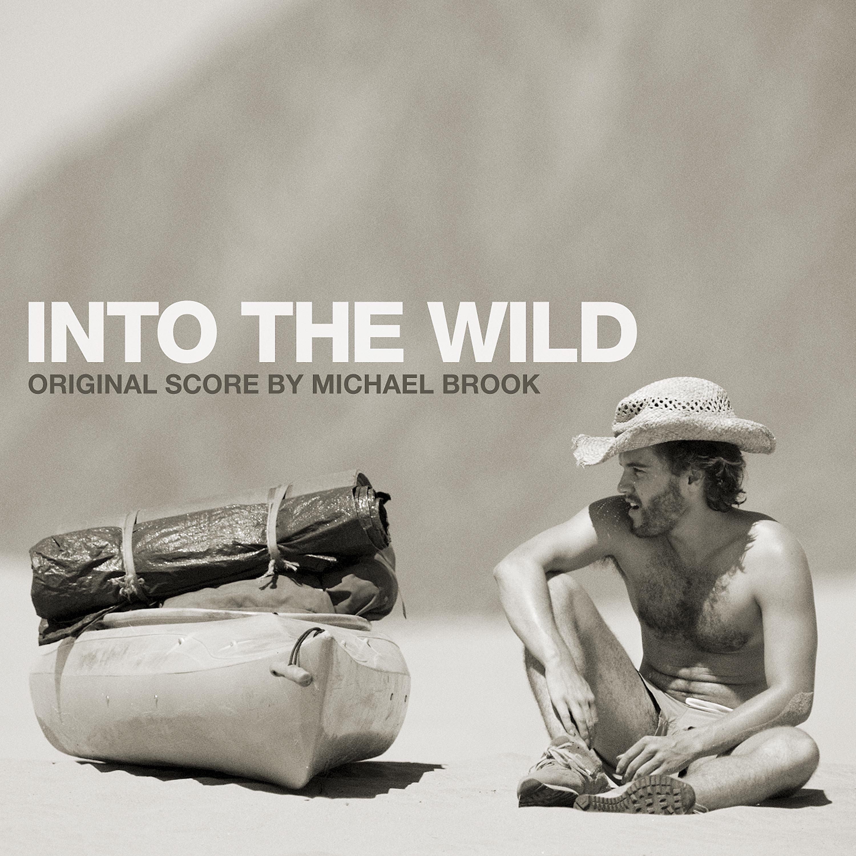 Постер альбома Into the Wild (Original Score)