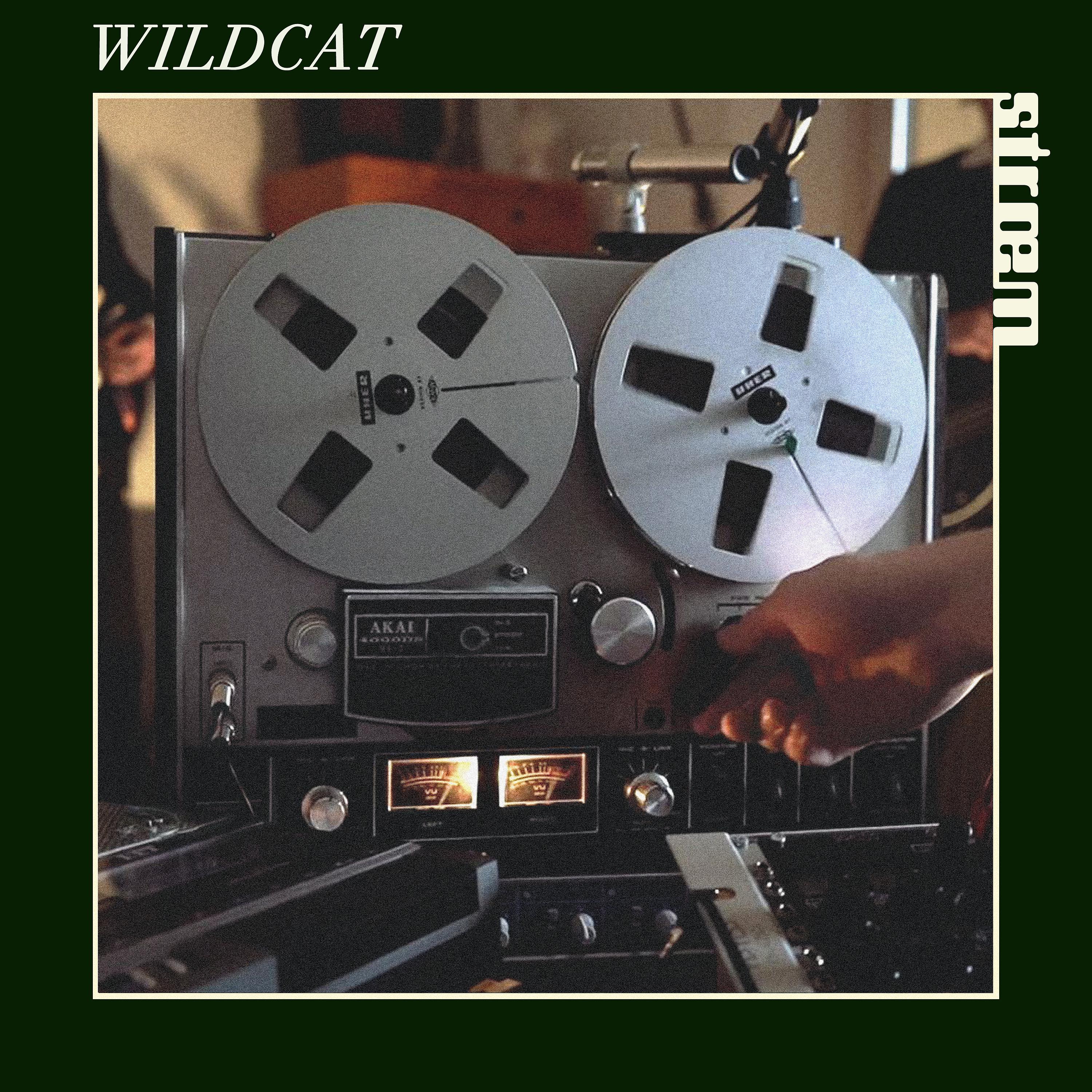 Постер альбома Wildcat