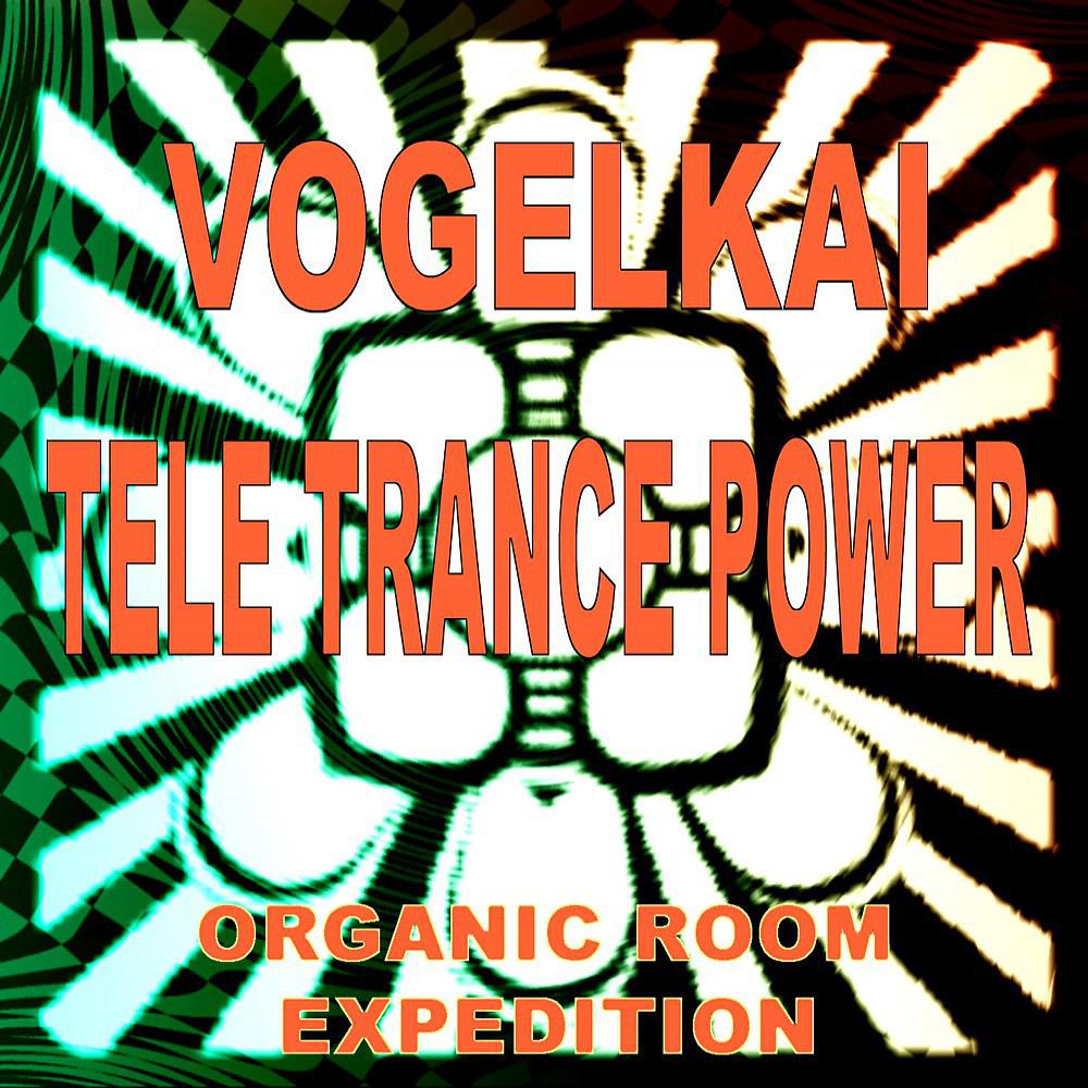 Постер альбома Organic Room Expedition