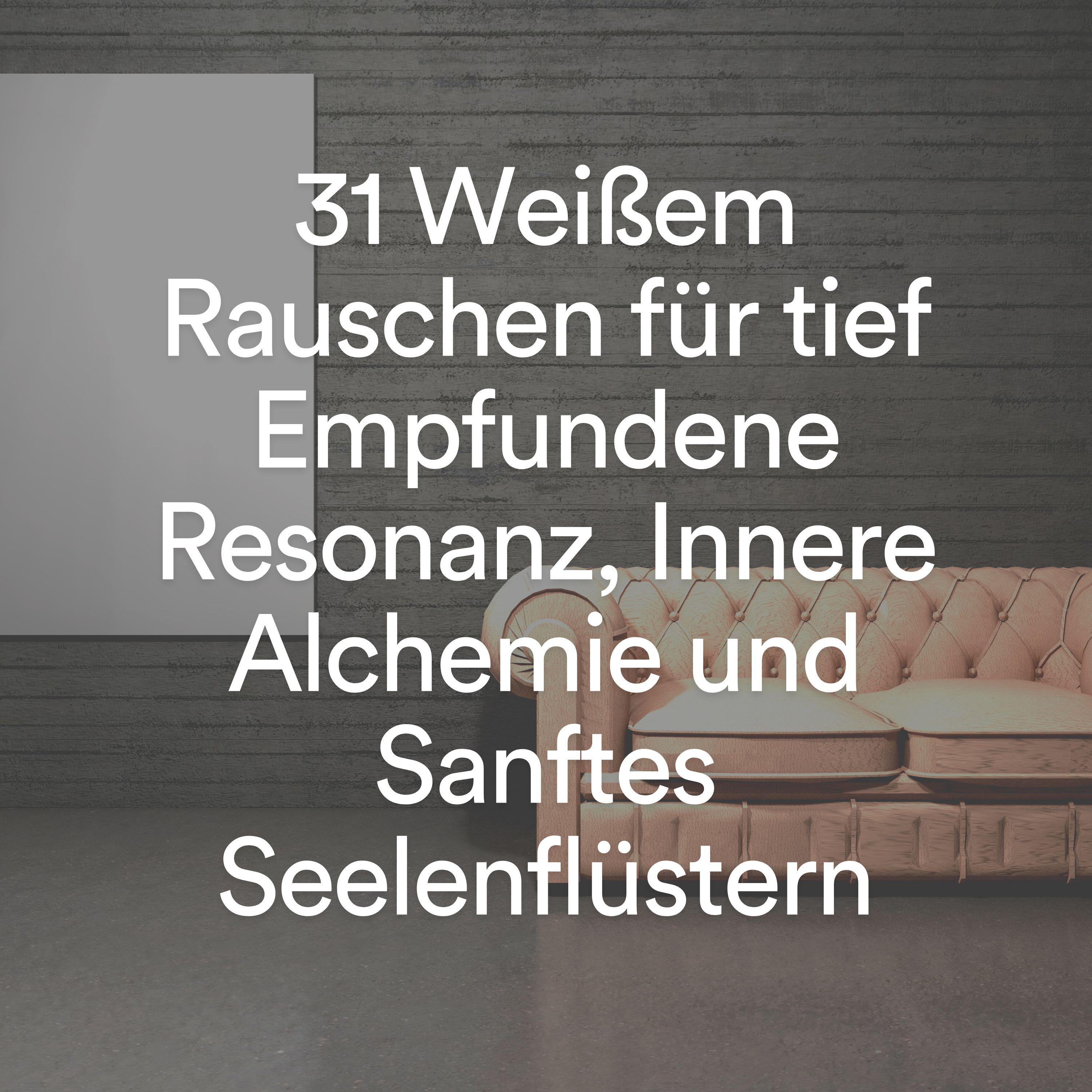 Постер альбома 31 weißem rauschen für tief empfundene resonanz, innere Alchemie und sanftes seelenflüstern