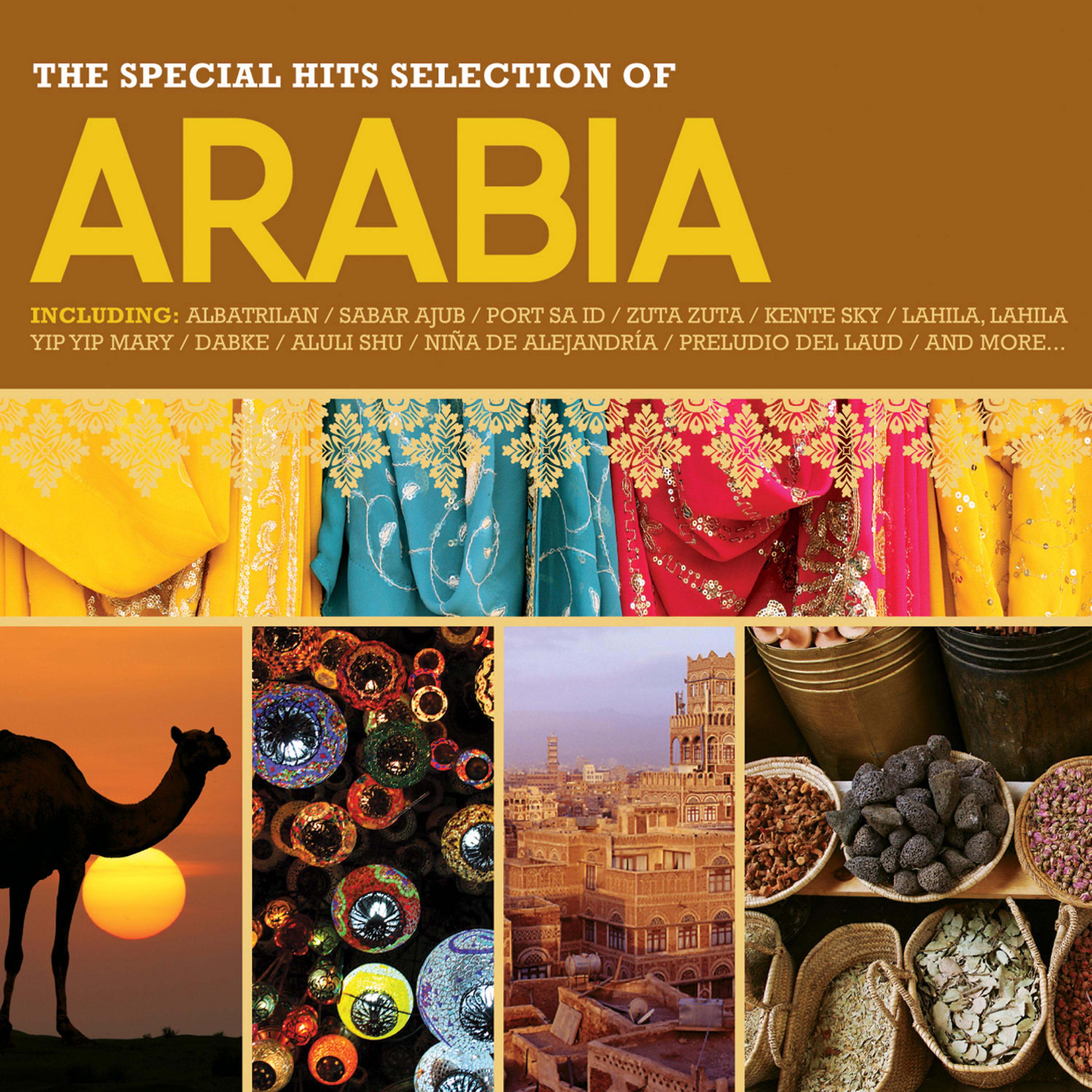 Постер альбома Arabia: The Special Hits Selection