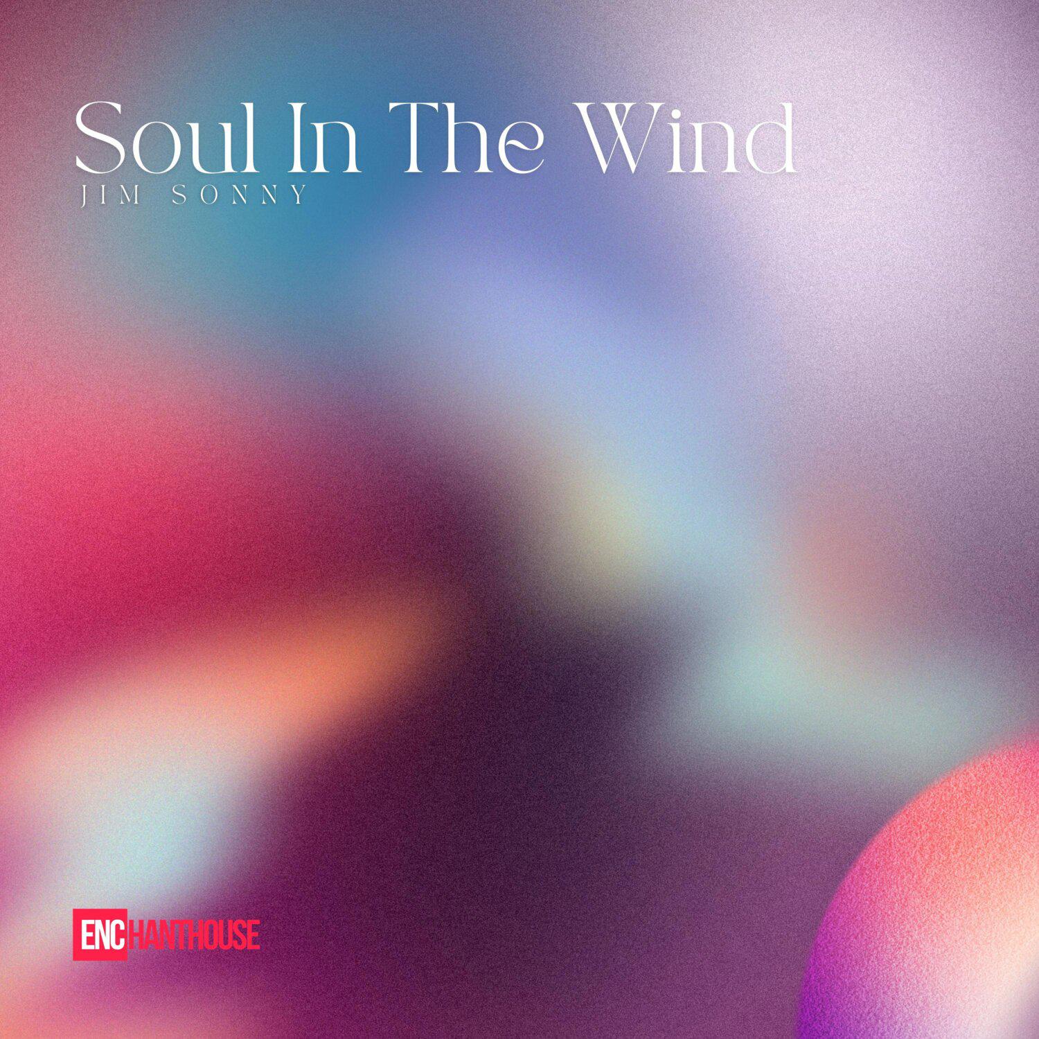 Постер альбома Soul In The Wind