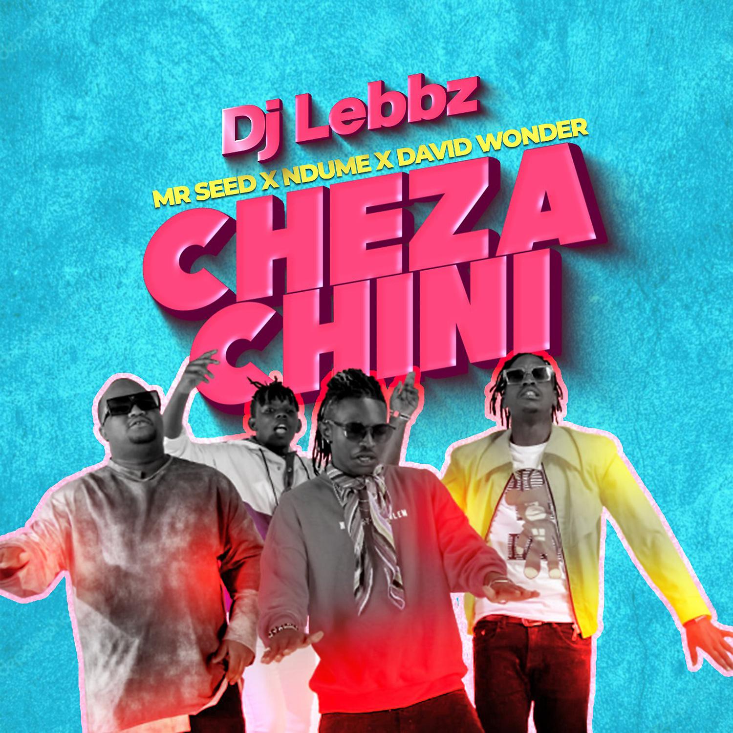 Постер альбома Cheza Chini