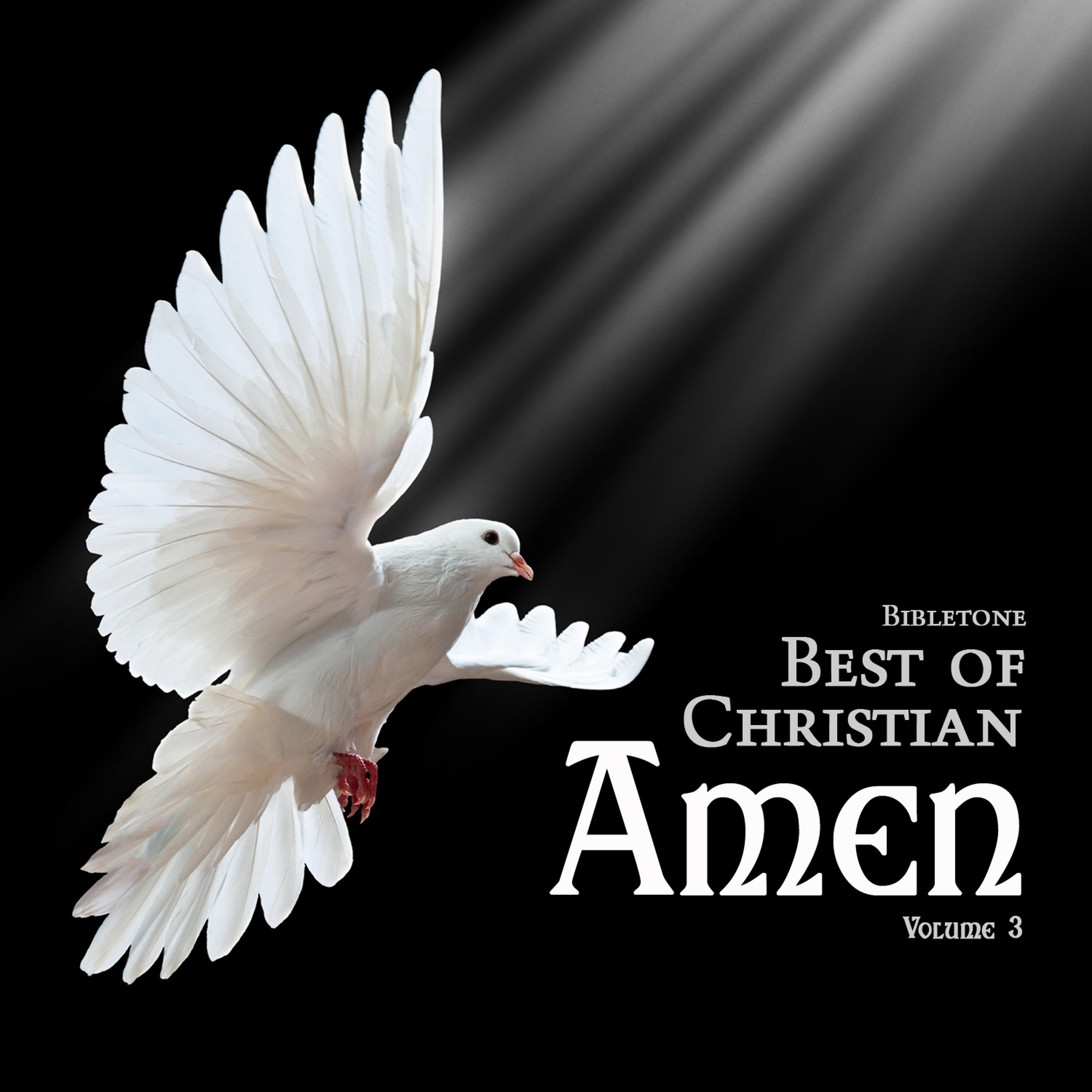 Постер альбома Bibletone: Best of Christian (Amen), Vol. 3