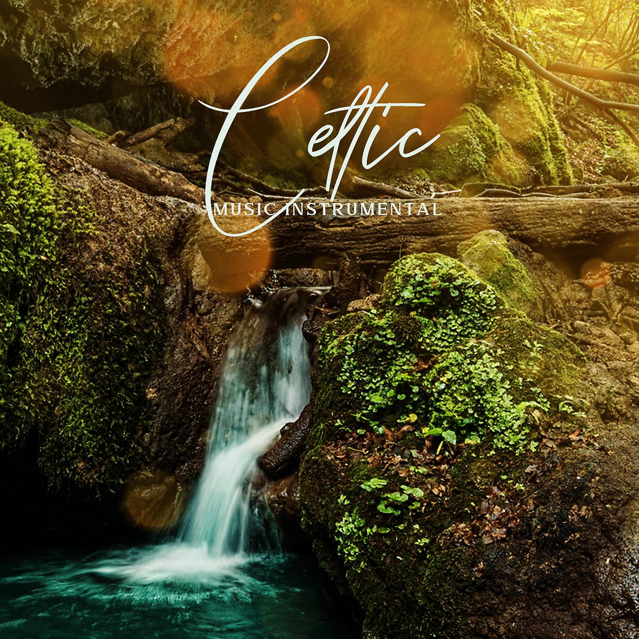 Постер альбома Celtic Music Instrumental