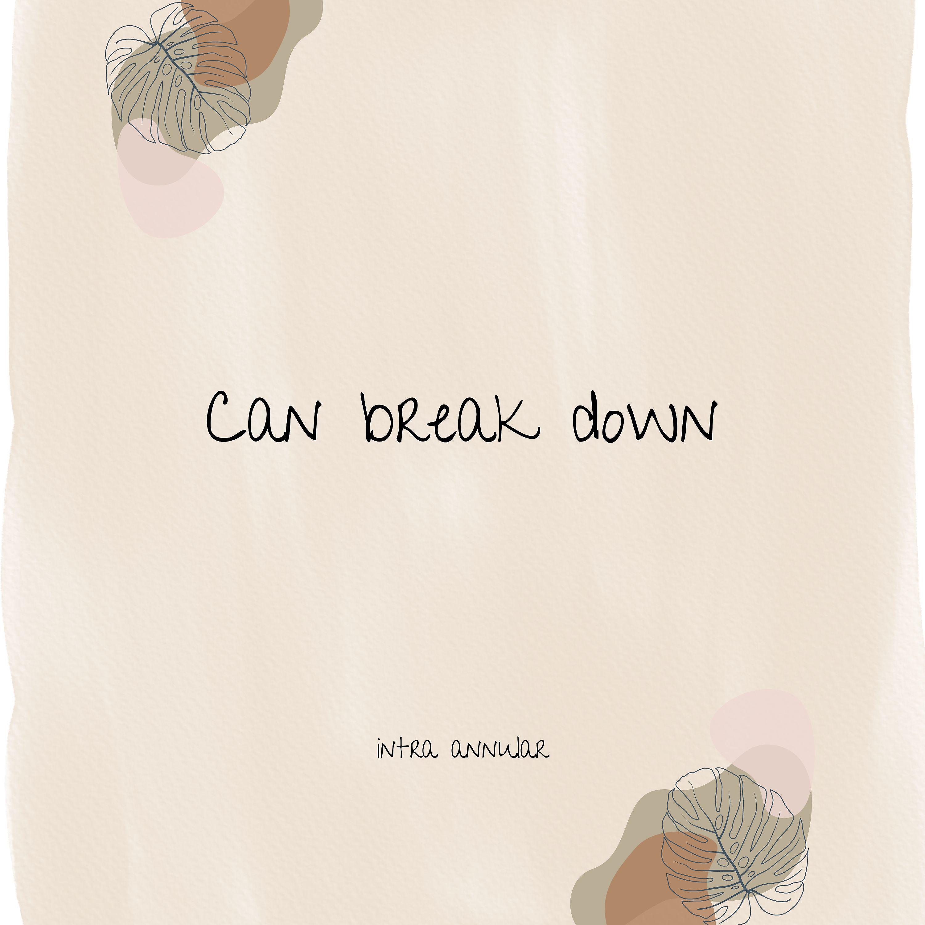 Постер альбома Can Break Down