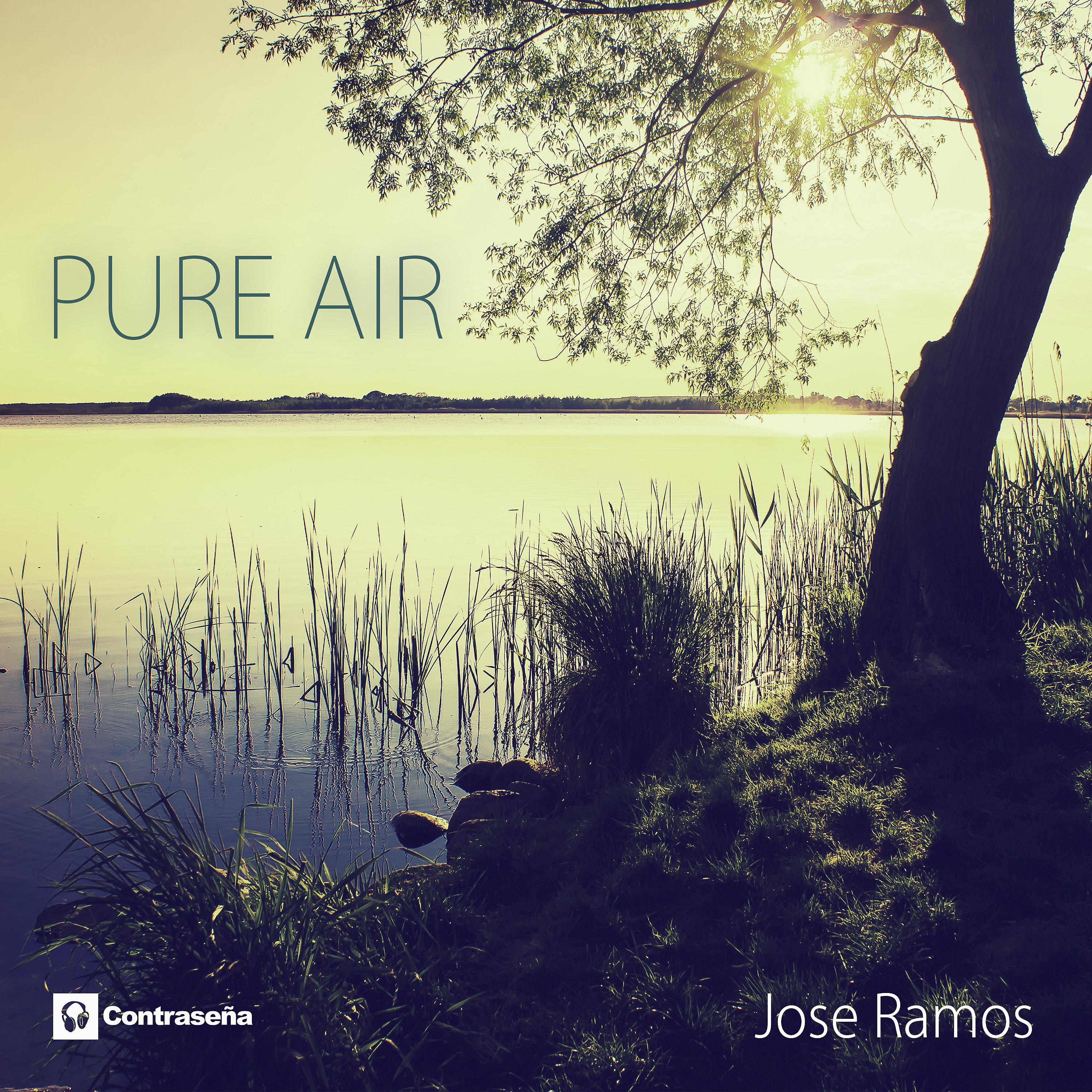 Постер альбома Pure Air