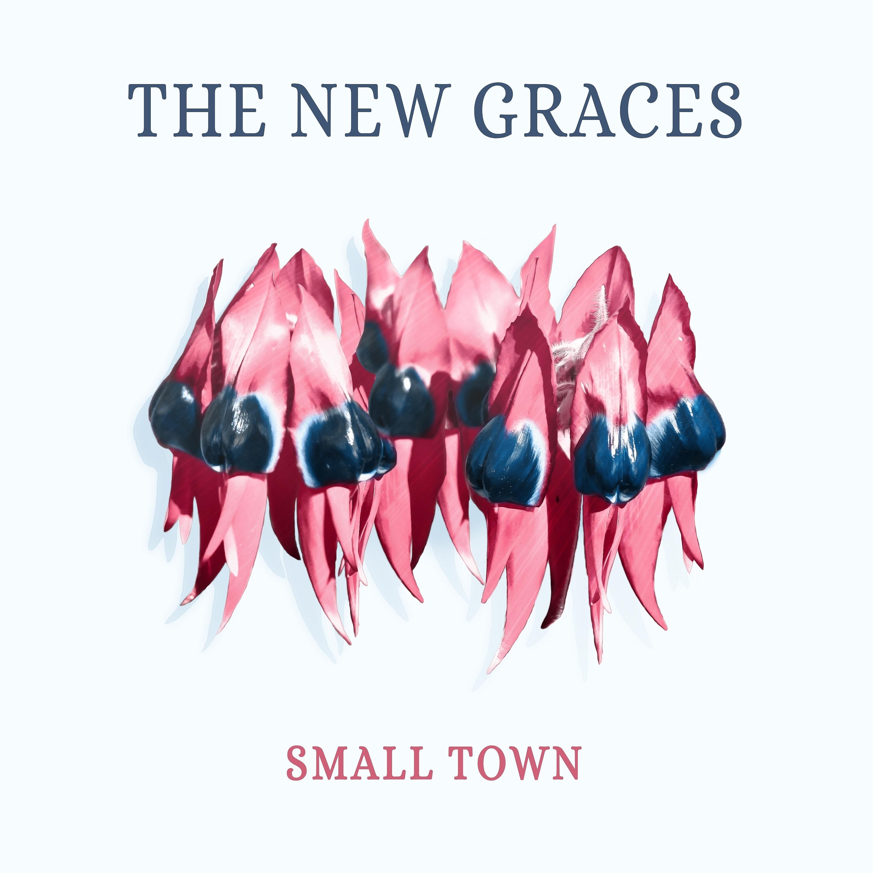 Постер альбома Small Town