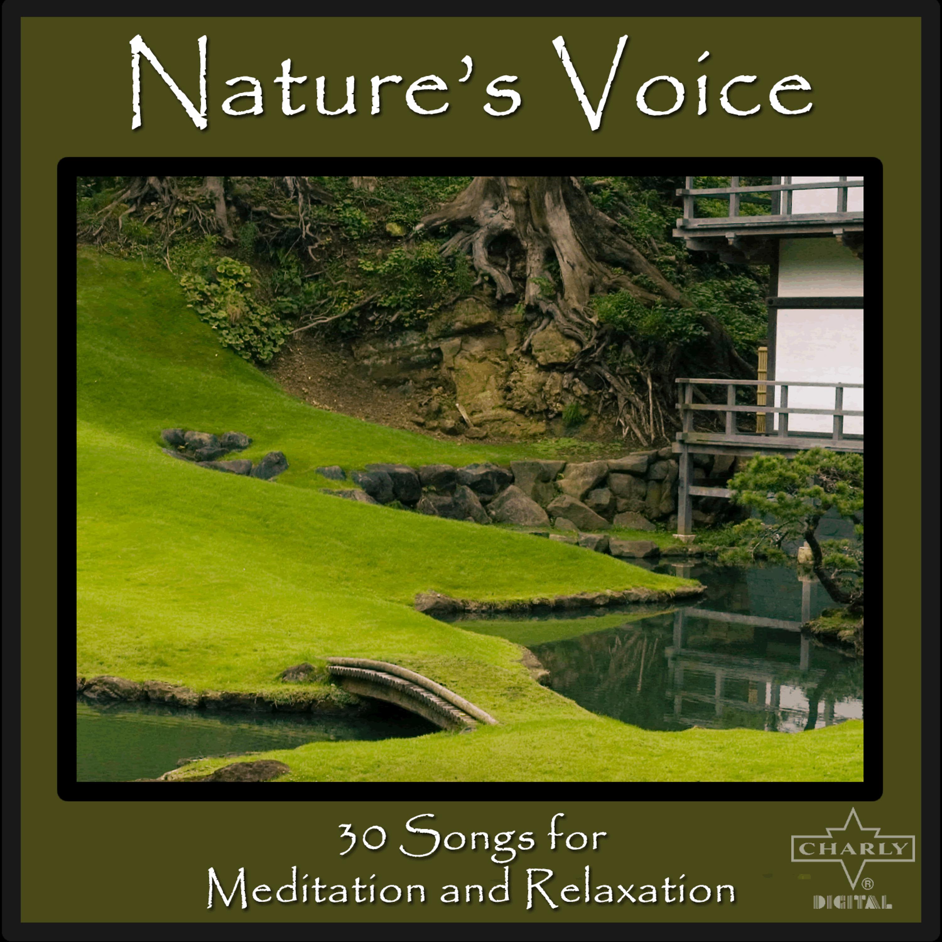 Постер альбома Nature's Voice: 30 Songs for Meditation and Relaxation