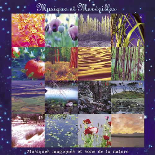 Постер альбома Musique et merveilles: compilation
