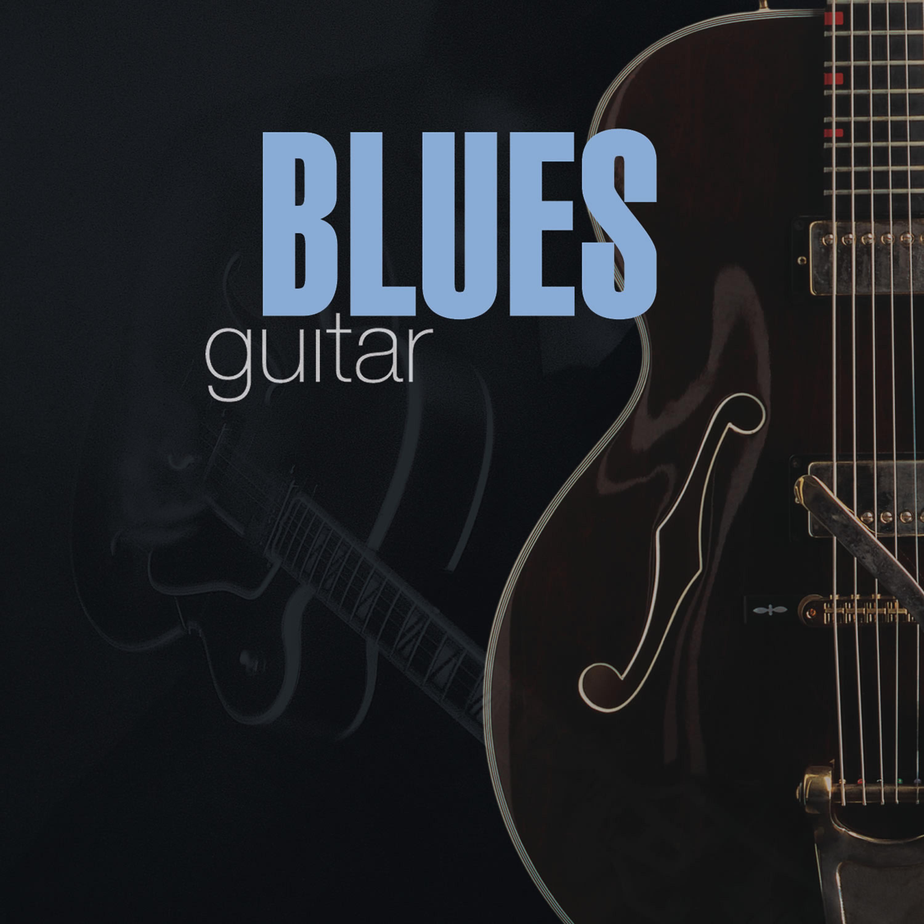 Постер альбома Blues Guitar