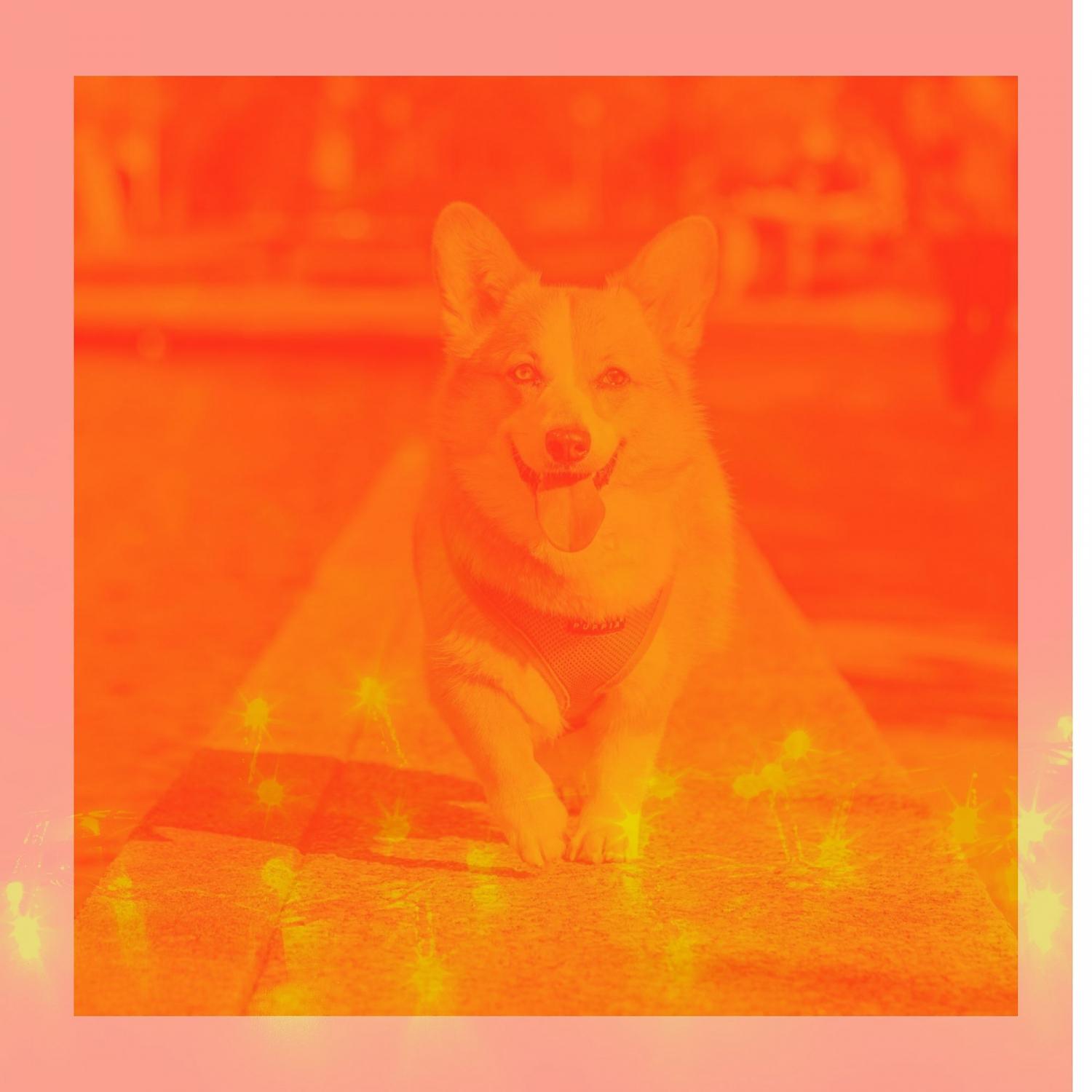 Постер альбома Soulful Bossa Trombone - Bgm for Calming Puppies