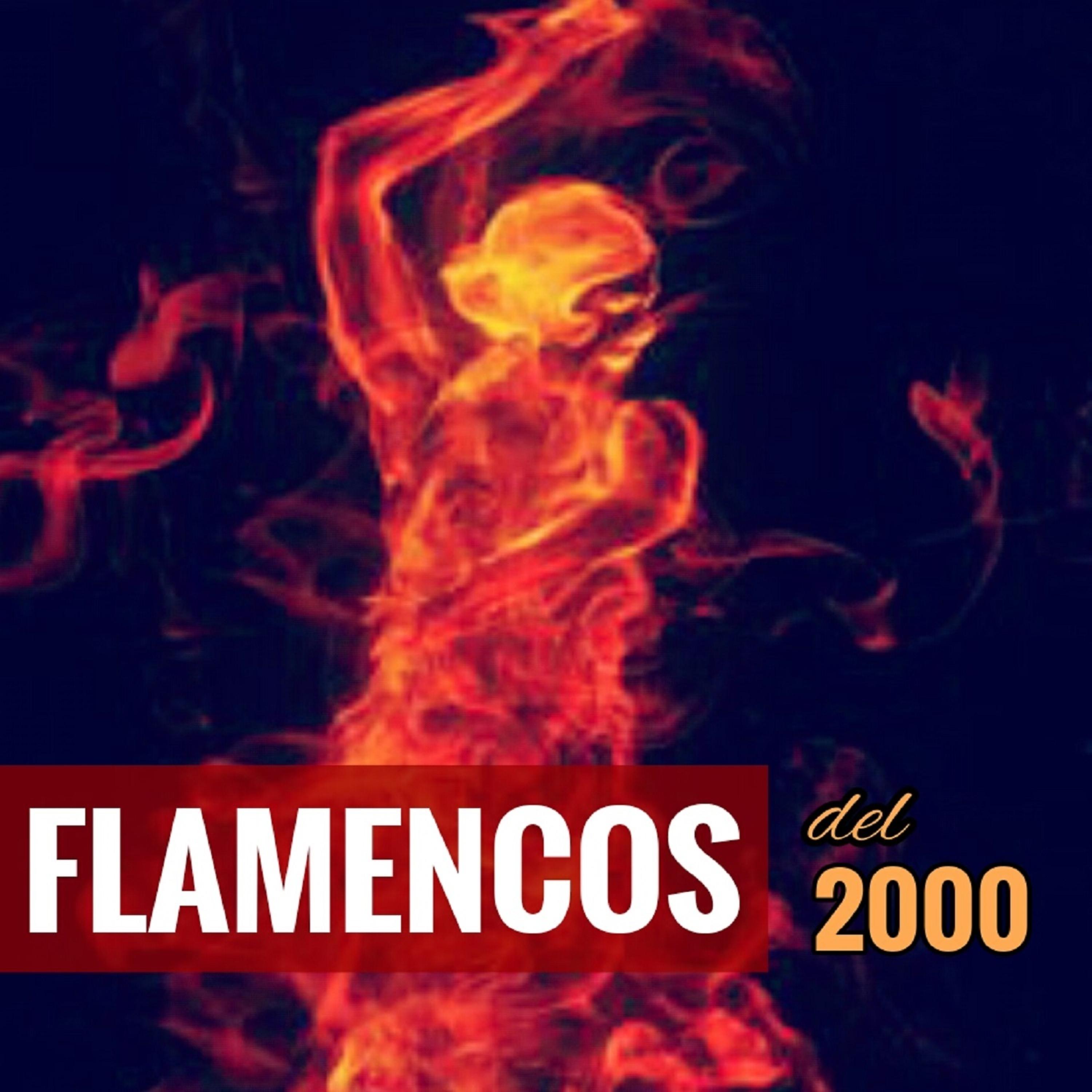 Постер альбома Flamencos del 2000