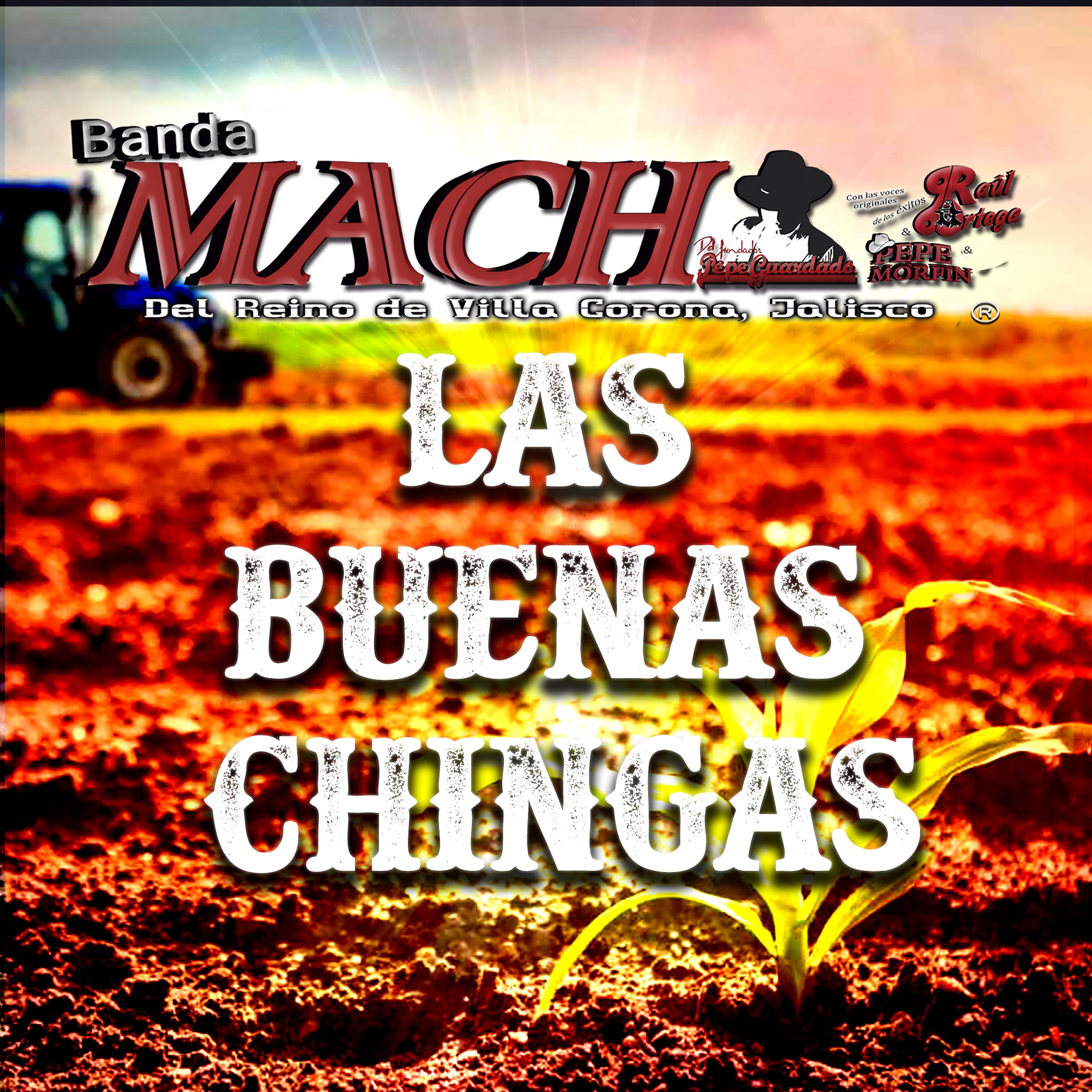 Постер альбома Las Buenas Chingas