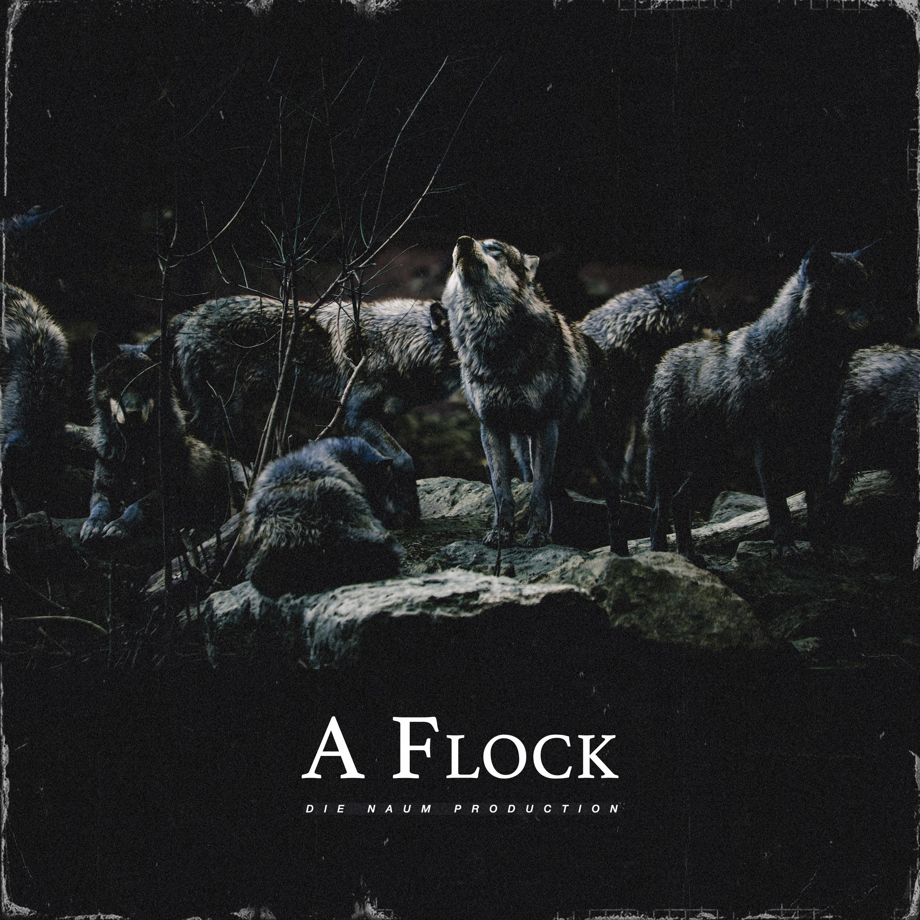 Постер альбома A Flock
