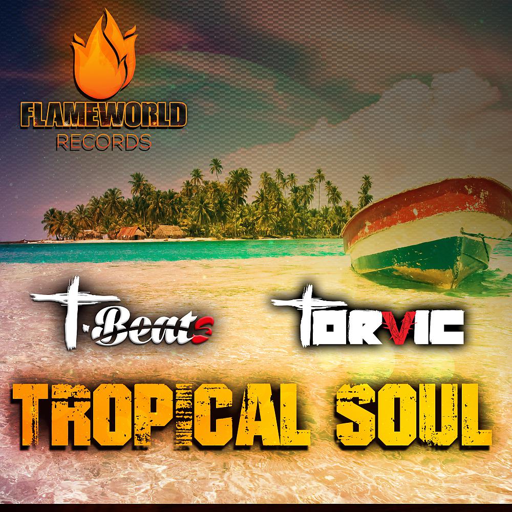 Постер альбома Tropical Soul (Tropical House)