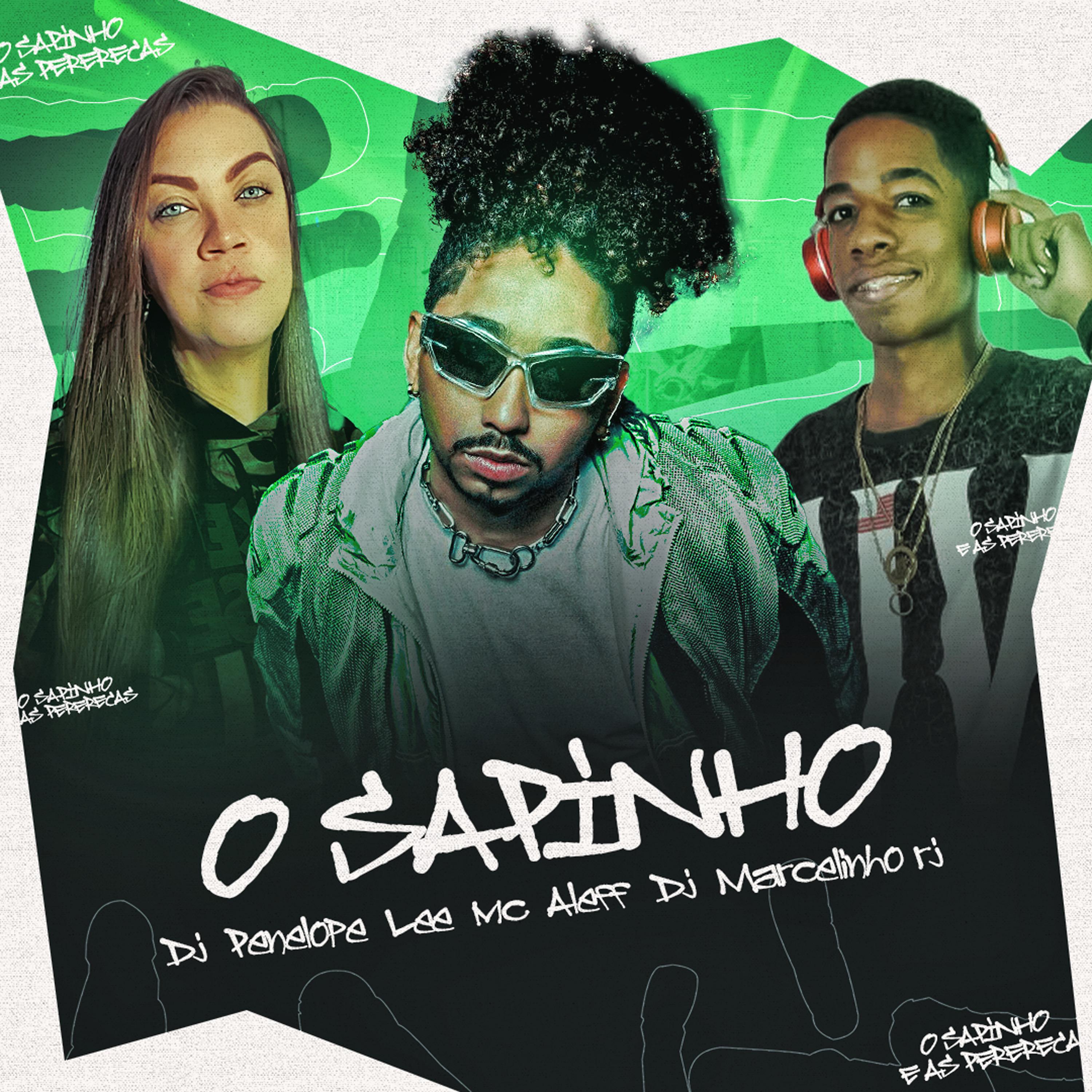 Постер альбома O Sapinho