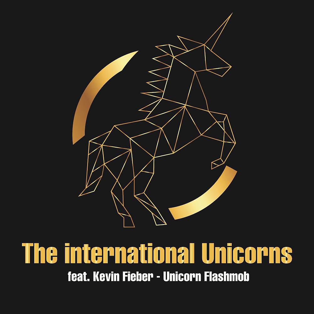 Постер альбома Unicorn Flashmob