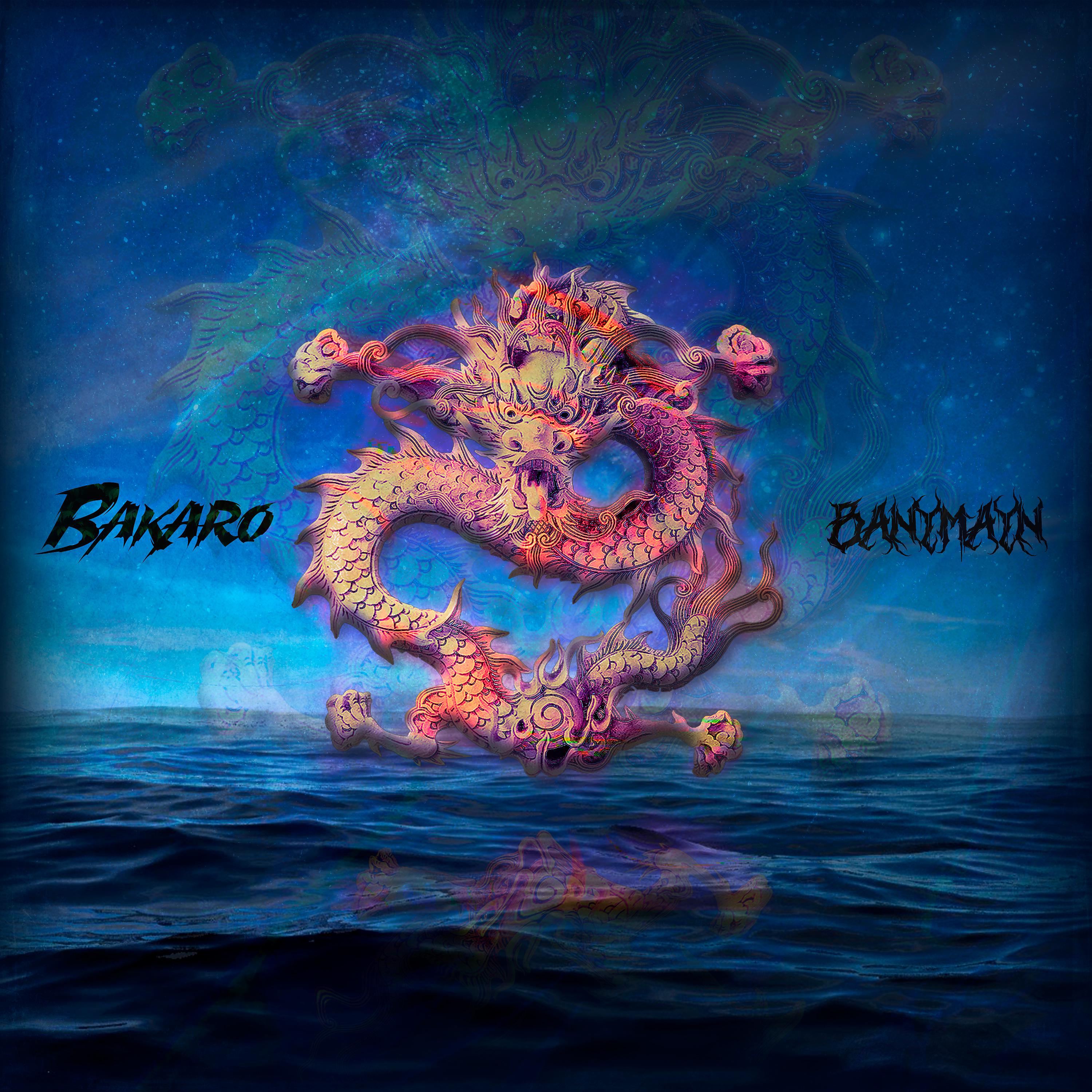 Постер альбома Bakaro
