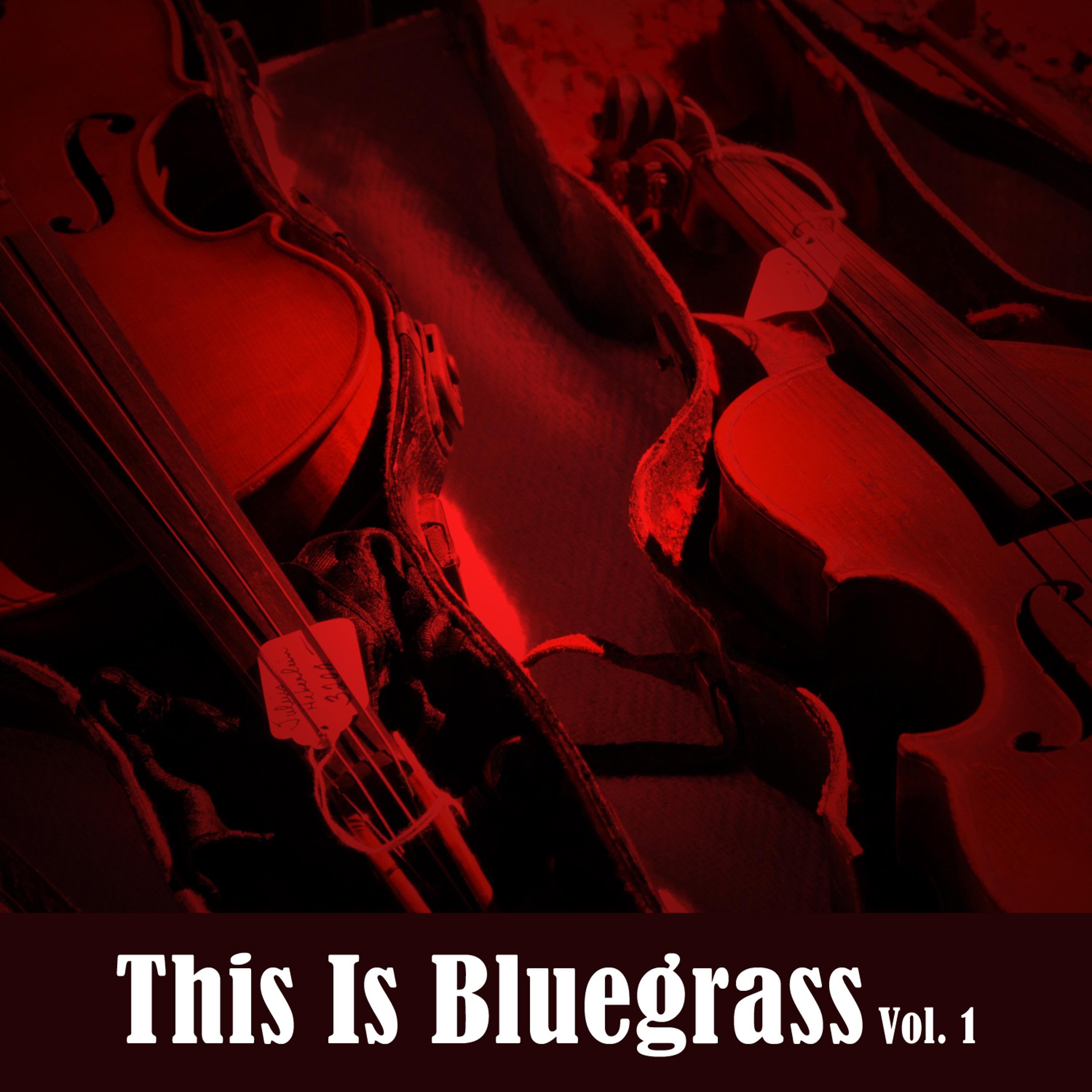 Постер альбома This Is Bluegrass, Vol. 1