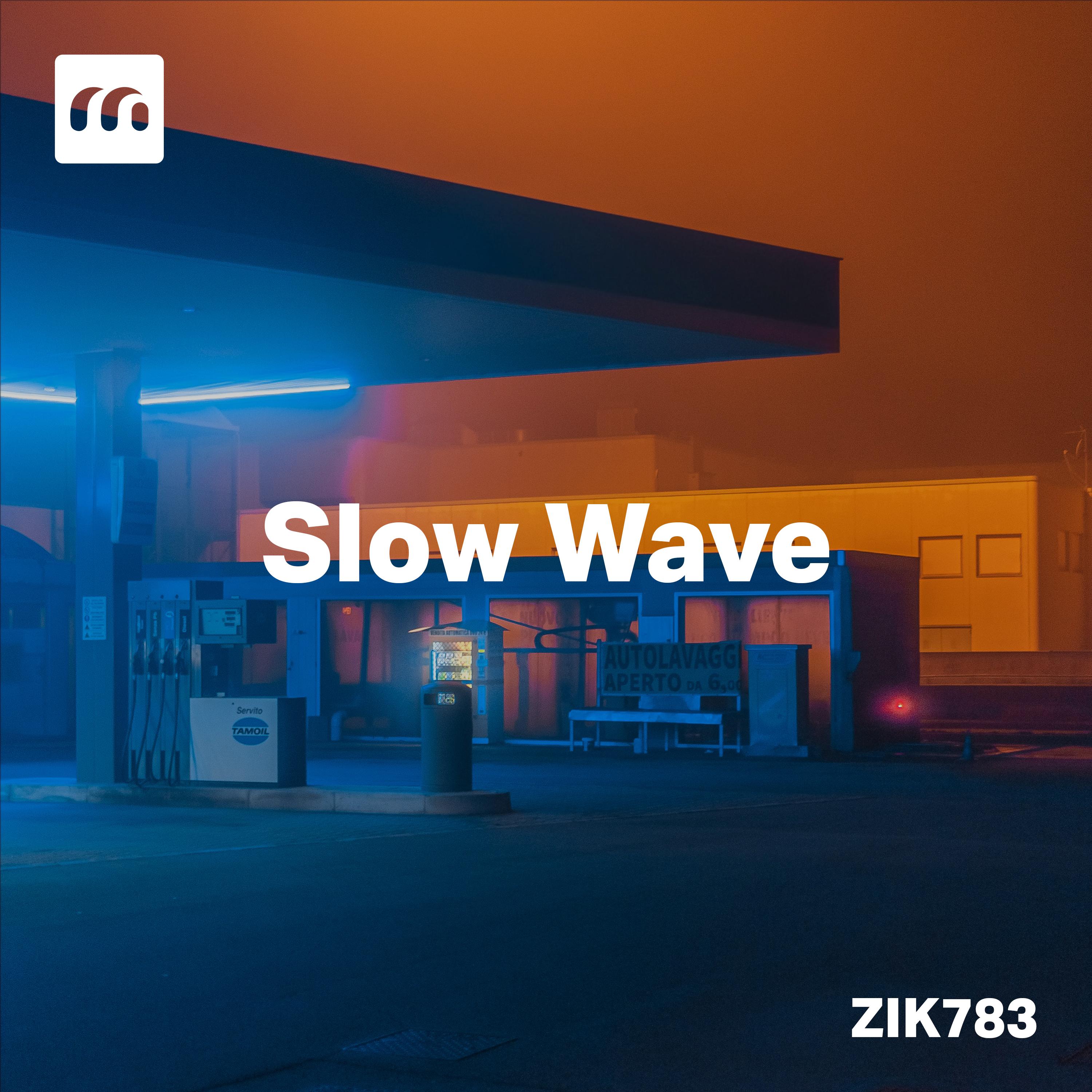 Постер альбома Slow Wave