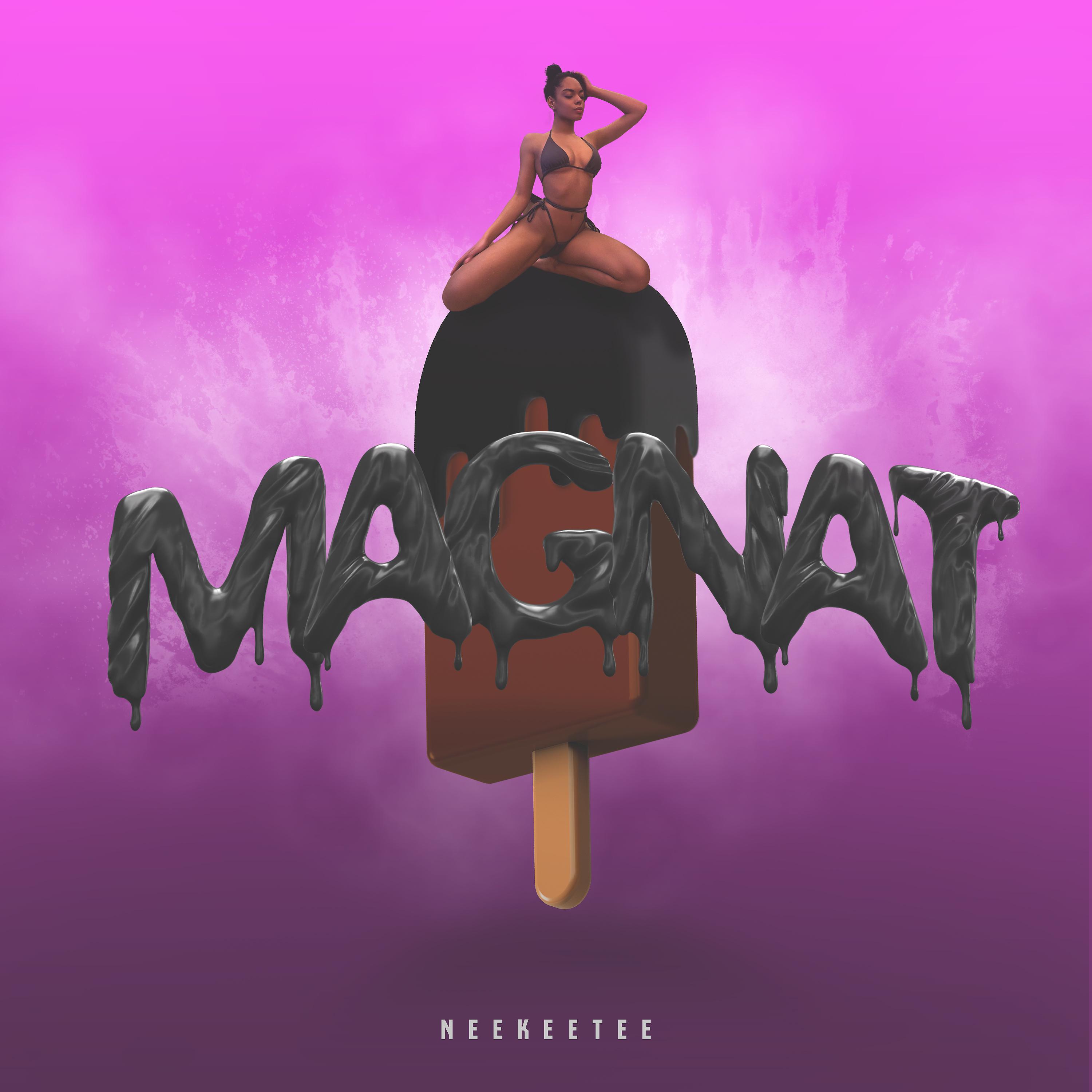 Постер альбома Magnat