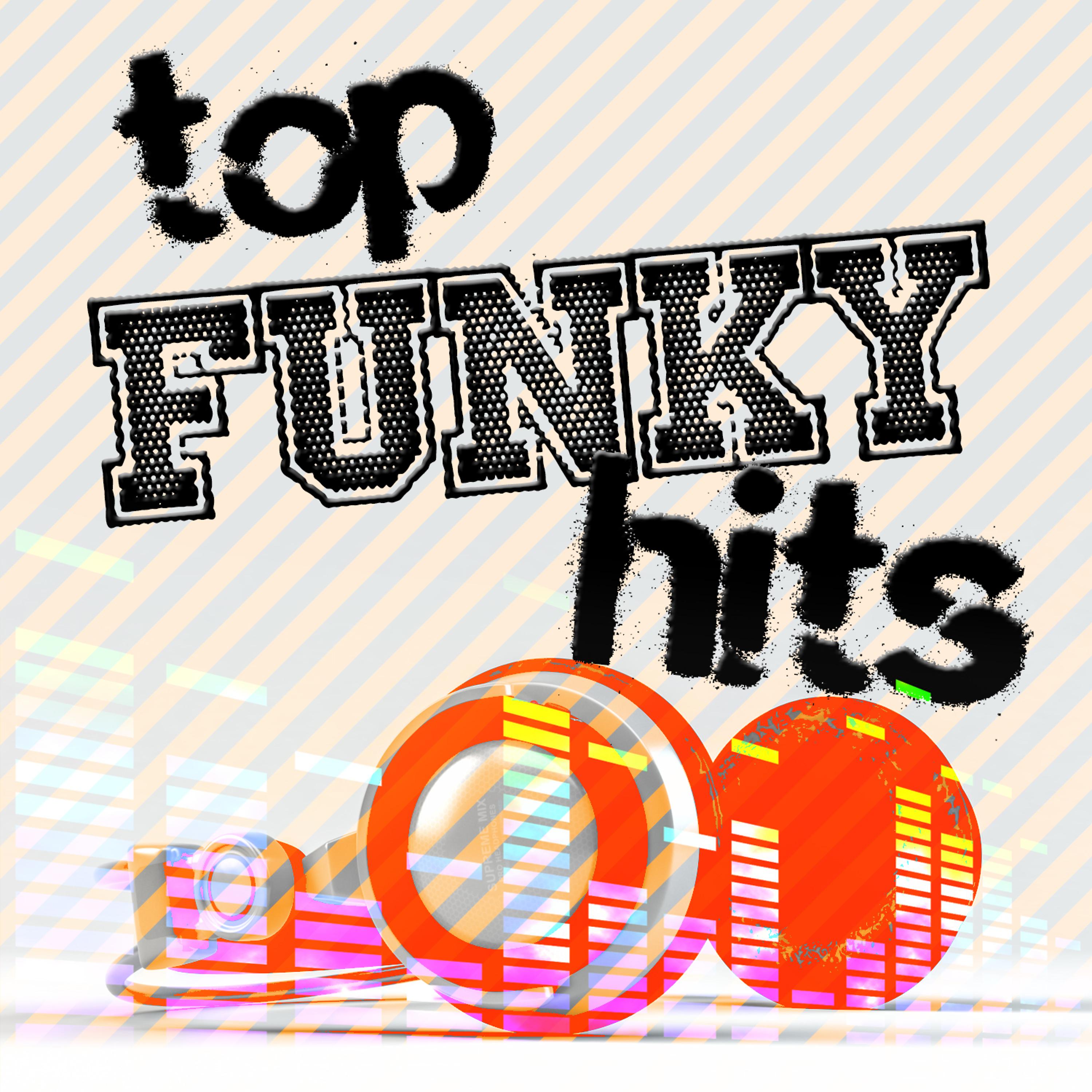 Постер альбома Top Funky Hits