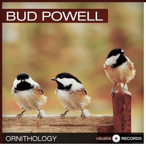 Постер альбома Ornithology