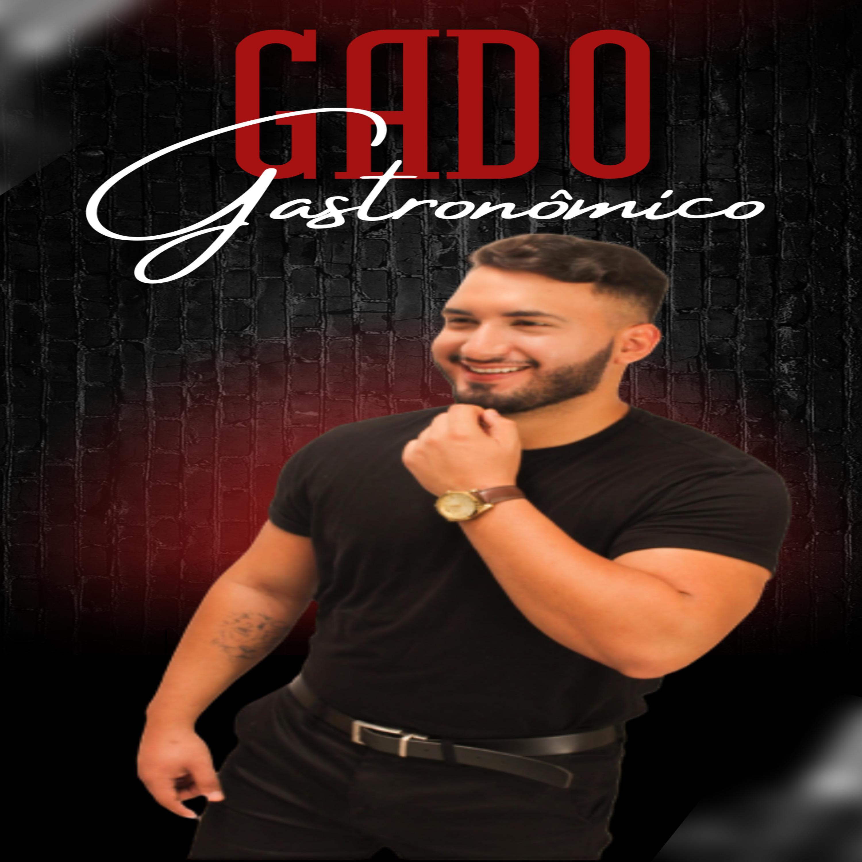Постер альбома Gado Gastronômico