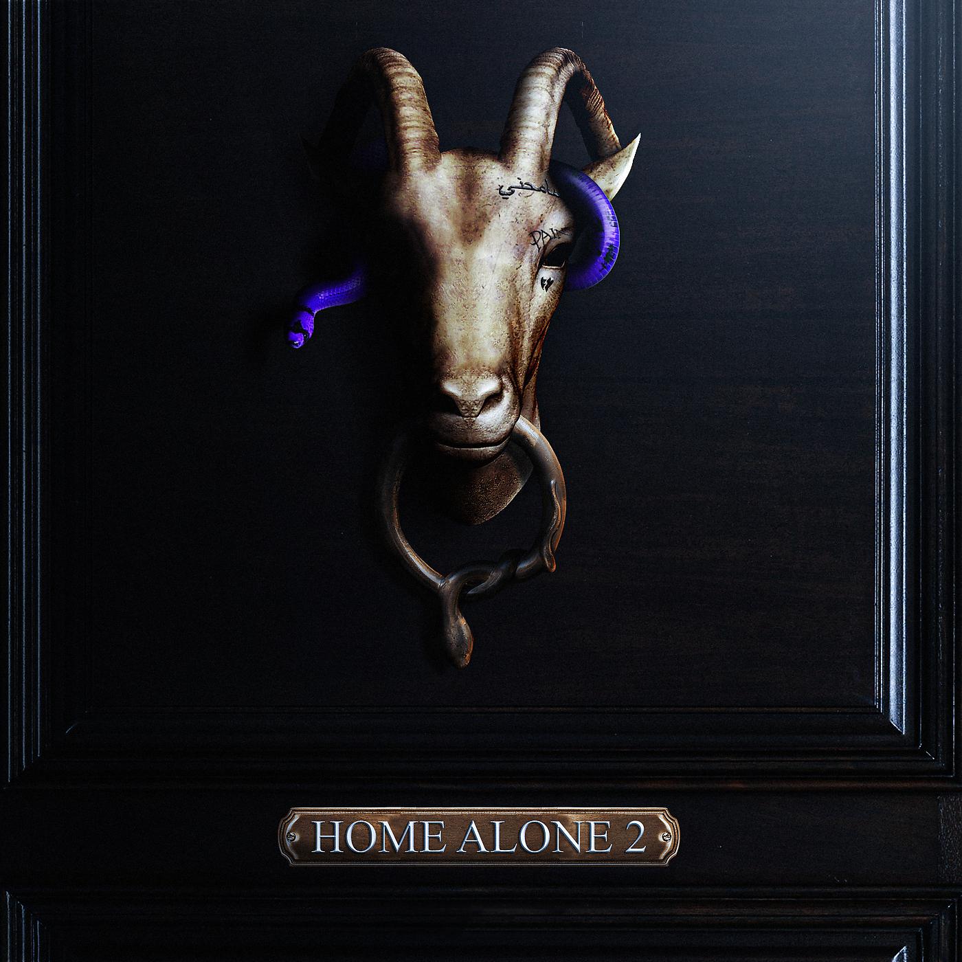 Постер альбома Home Alone 2