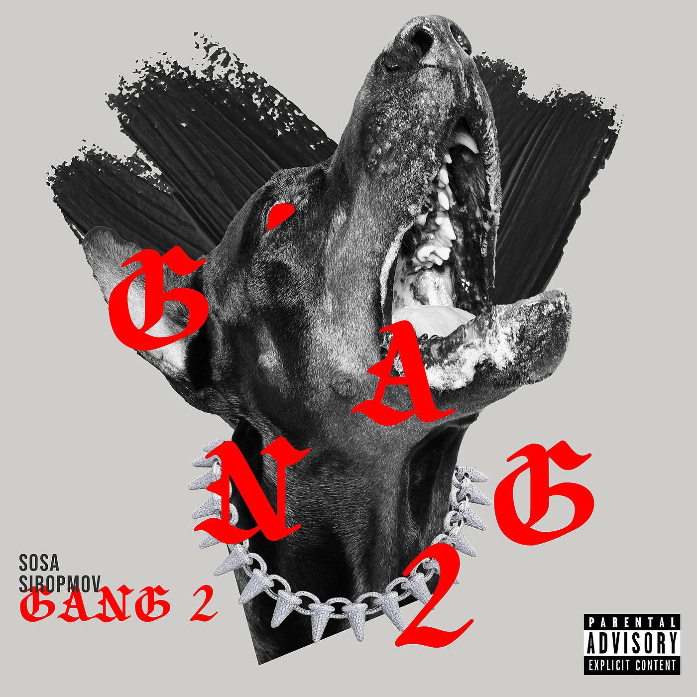 Постер альбома Gang 2