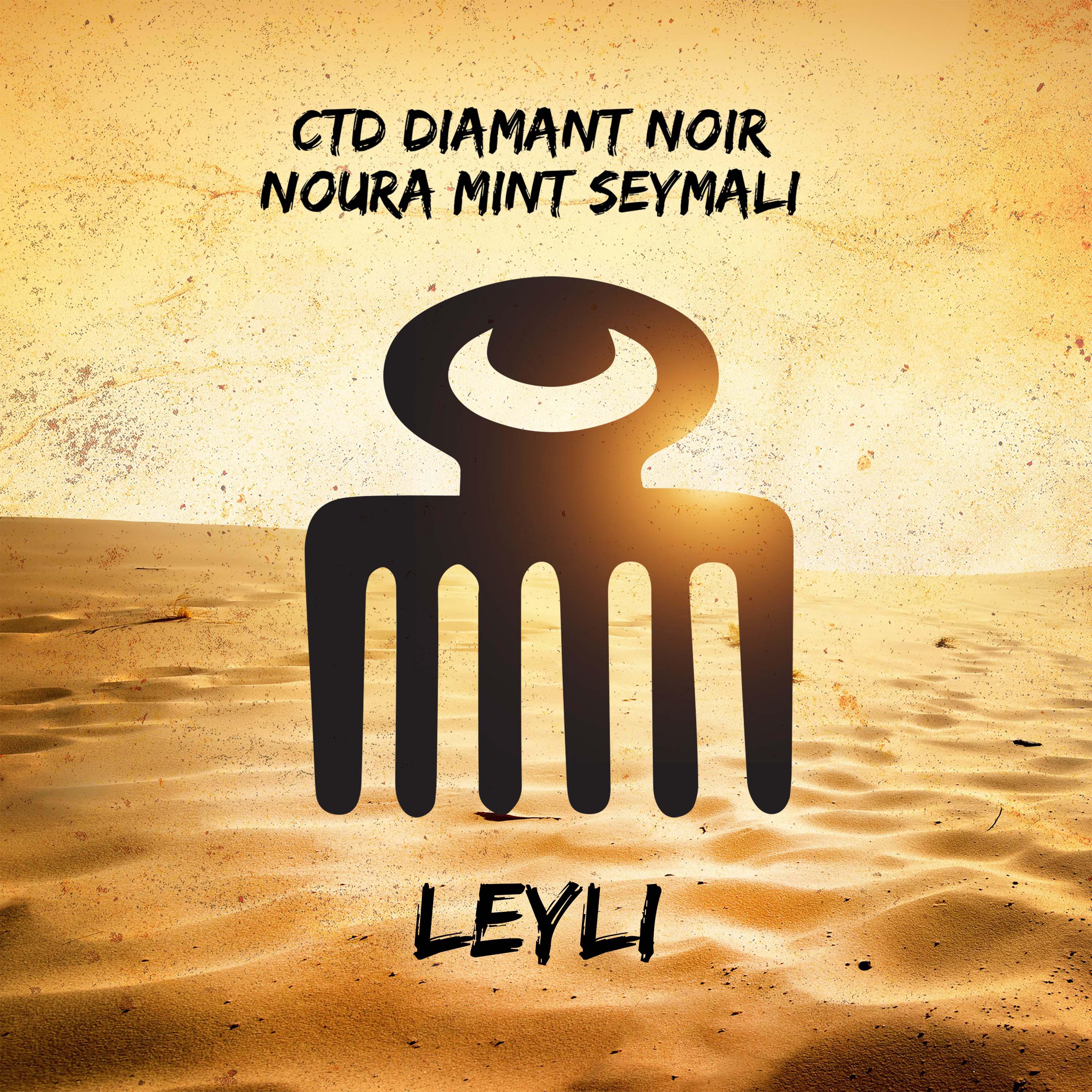 Постер альбома LEYLI